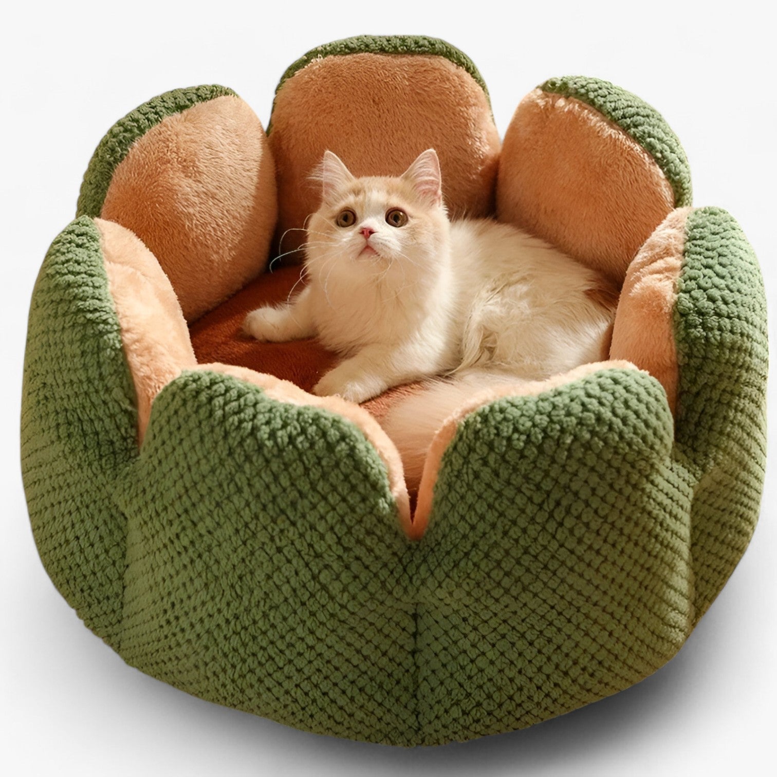 Cuccia Rotonda Morbida in Peluche Lavabile per Gatti e Cuccioli, Letto Caldo e Confortevole - verde - accogliente caldo caldo accogliente cuccioli gatti pet pet bed PET SUPPLIES pets & supplies uomo - Concept Palermo
