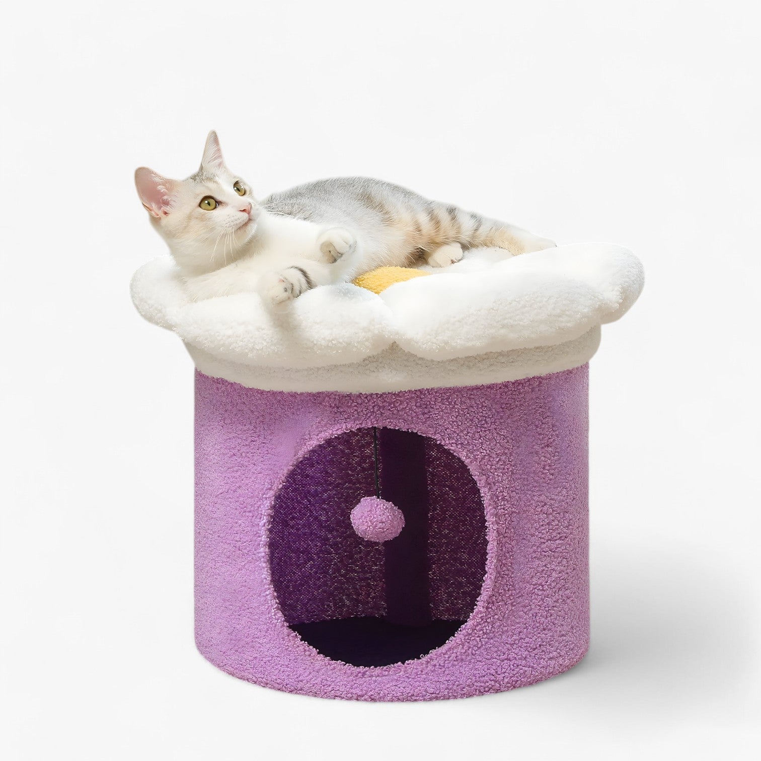 Rifugio per gatti carino con letto a fiori removibile - Viola - carino cats fiori gatti letto pet PET SUPPLIES pets & supplies removibile rifugio rifugio gatti - Concept Palermo