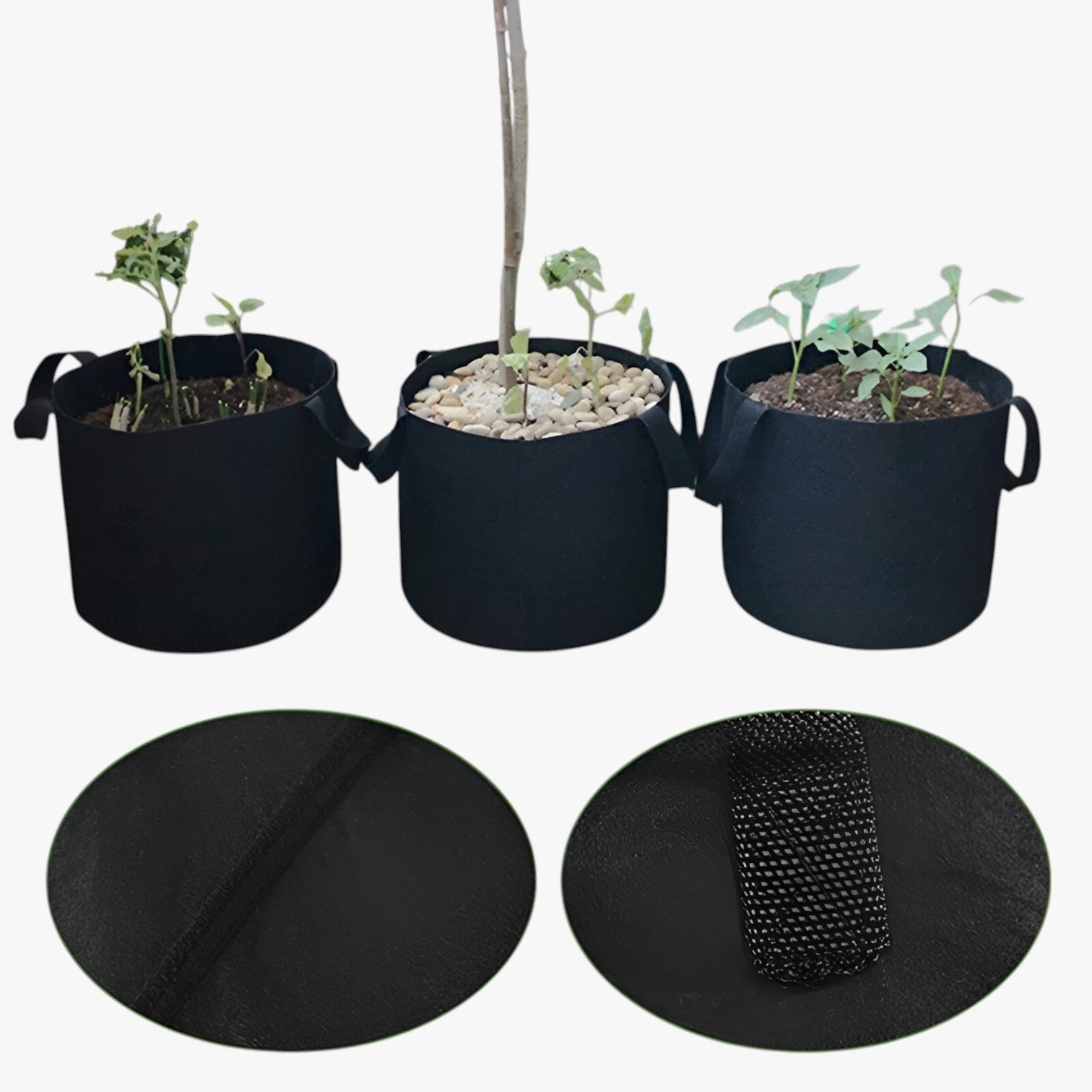 Sacco di coltivazione salvaspazio – Piante sane, facili da coltivare - - coltivare coltivazione facili Garden Garden supplies Home & Garden piante sacco sacco coltivazione salvaspazio - Concept Palermo