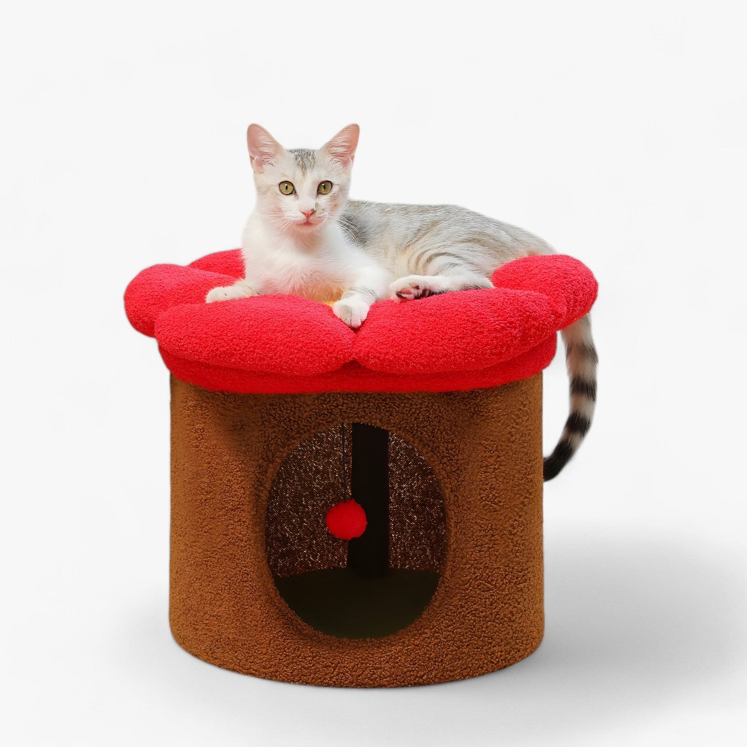Rifugio per gatti carino con letto a fiori removibile - Marrone - carino cats fiori gatti letto pet PET SUPPLIES pets & supplies removibile rifugio rifugio gatti - Concept Palermo