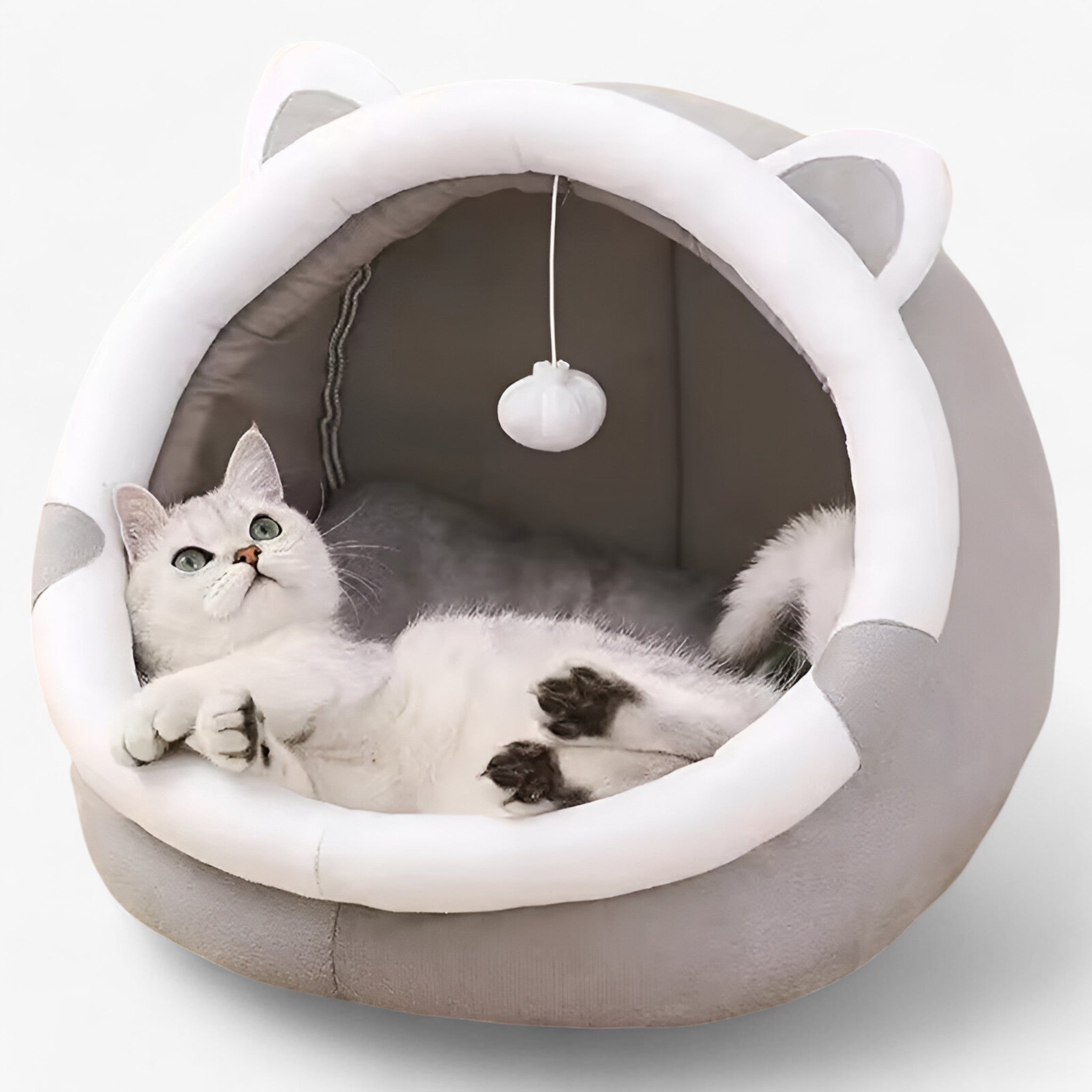 Letto per Gatti Knus e Caldo – Comfort per Tutte le Stagioni Uomo - - caldo comfort gatti knus letto letto gatti pets & supplies stagioni - Concept Palermo