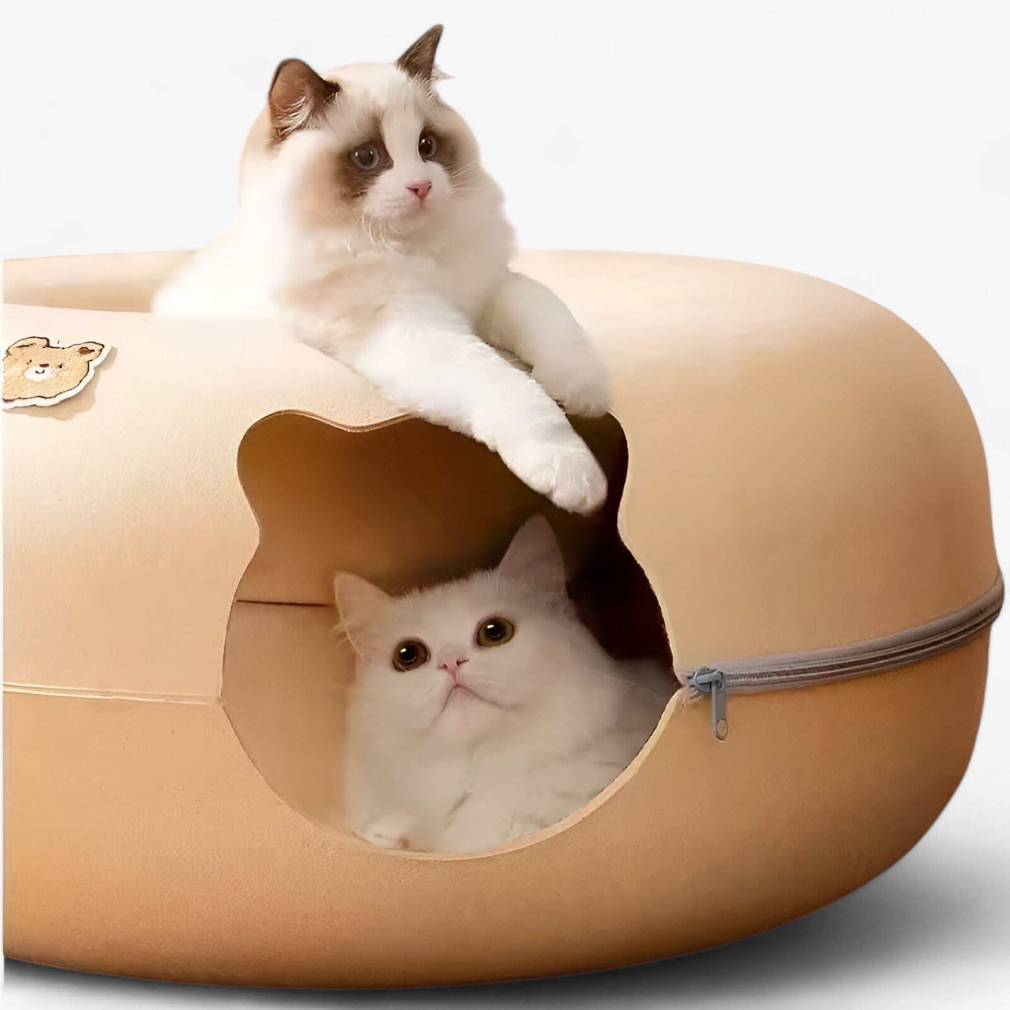 Giocattolo interattivo a tunnel per gatti Uomo - - gatti giocattolo giocattolo interattivo interattivo pets & supplies tunnel uomo - Concept Palermo