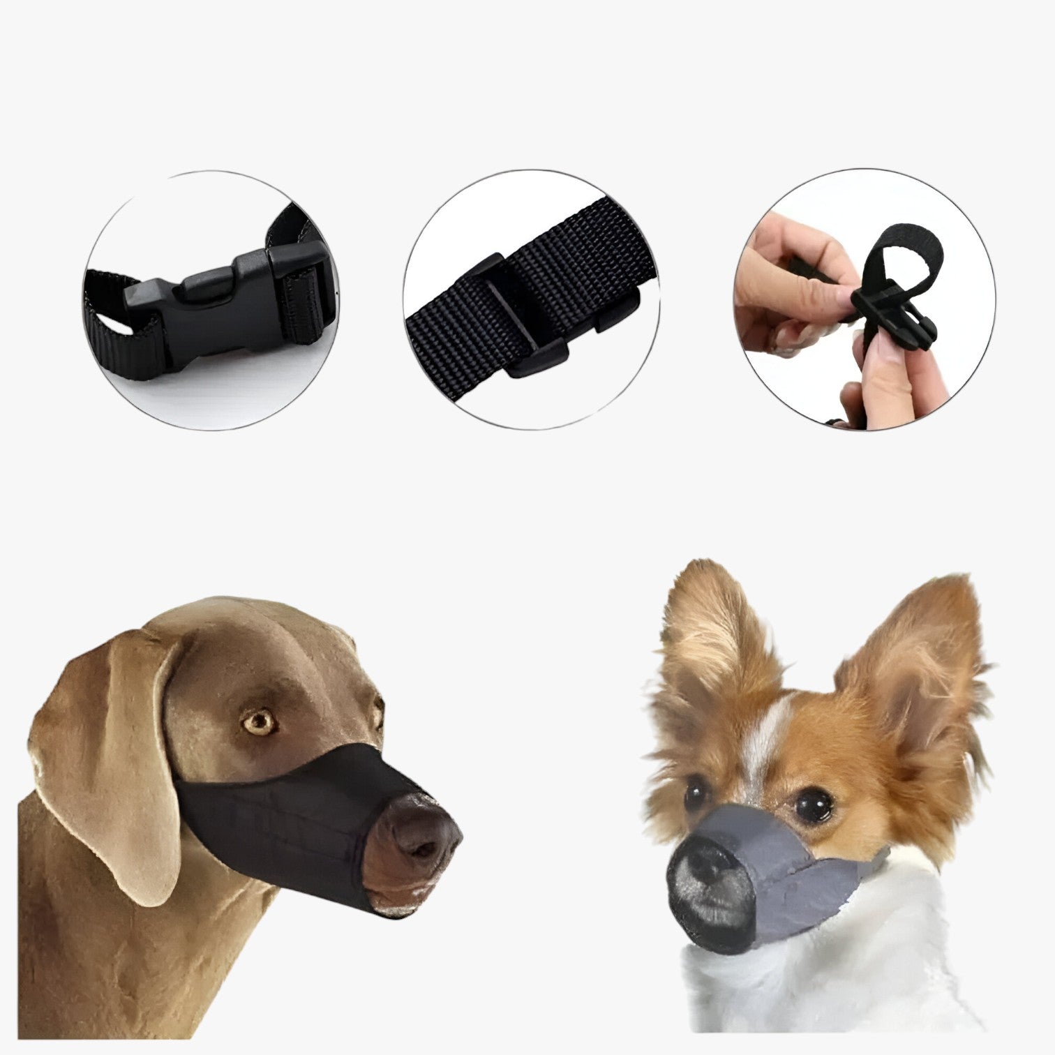 Museruola in nylon sicura - Comfort e controllo per il tuo cane Uomo - - cane comfort controllo dog DOG SUPPLIES museruola museruola nylon nylon pet pet accessories PET SUPPLIES pets & supplies sicura - Concept Palermo