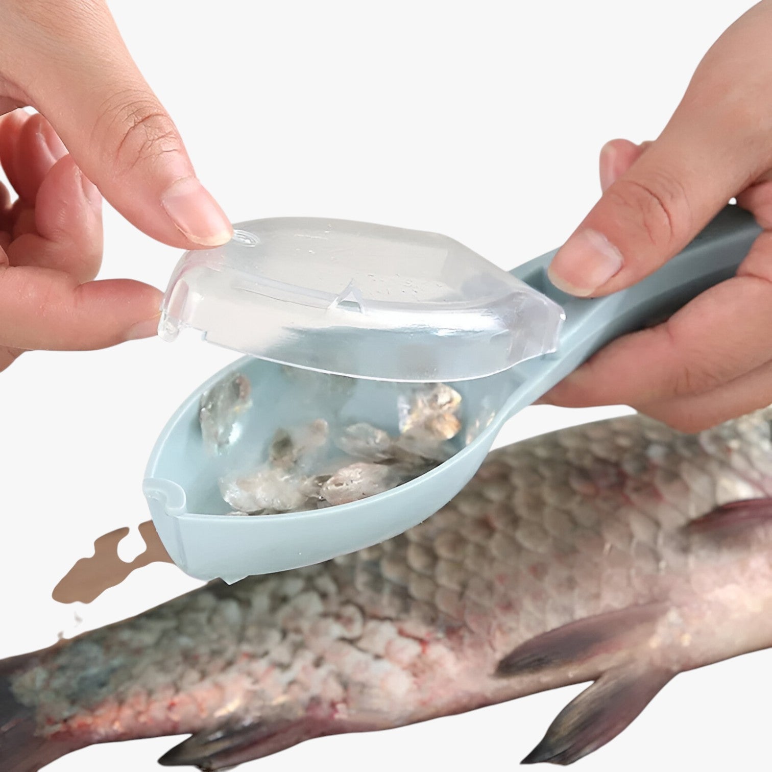 Pulitore per vetri con coperchio Svelt e senza schizzi per ciotole e raschiature - - ciotole coperchio cucina kitchen & dining pulitore pulitore vetri raschiature schizzi svelt - Concept Palermo