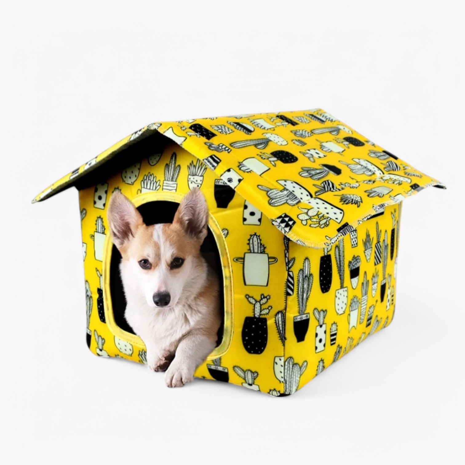 Casetta per gatti impermeabile – Calda e accogliente per esterni Uomo - - accogliente calda casetta casetta gatti dog DOG SUPPLIES esterni gatti impermeabile pets & supplies - Concept Palermo