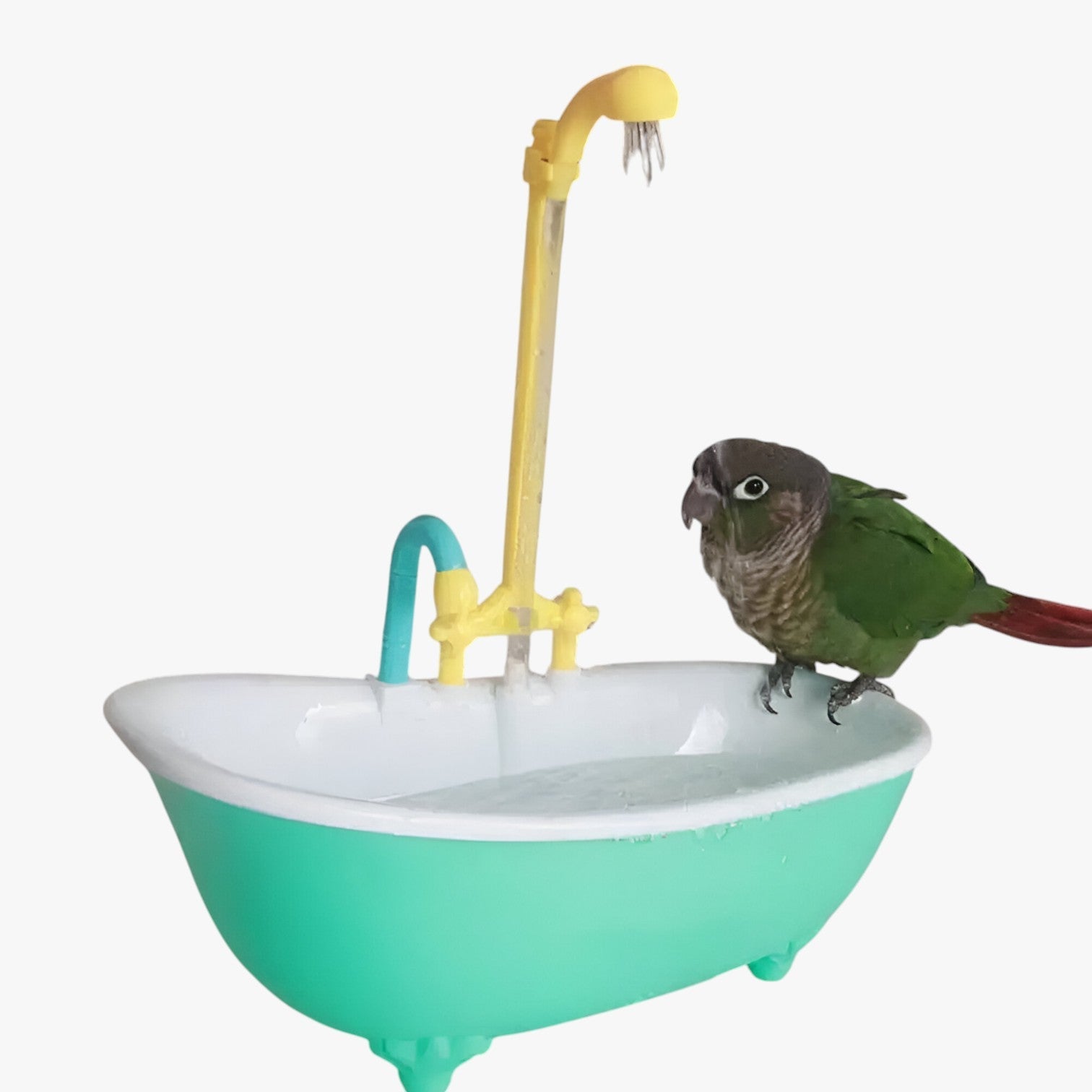 Vasca per uccelli slim e automatica – Fresca, giocosa e senza preoccupazioni per la pulizia - - automatica bird bird bath birdproduct fresca giocosa pet PET SUPPLIES pets & supplies preoccupazioni pulizia slim uccelli - Concept Palermo