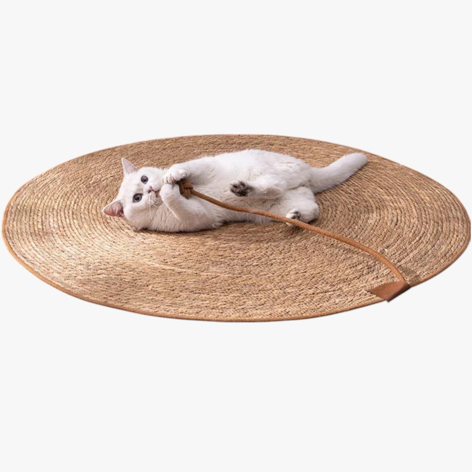 Tappetino tiragraffi in paglia per gatti, pratico e facile da usare - - facile gatti paglia pet PET SUPPLIES petproduct pets & supplies pratico tappetino tappetino tiragraffi tiragraffi - Concept Palermo