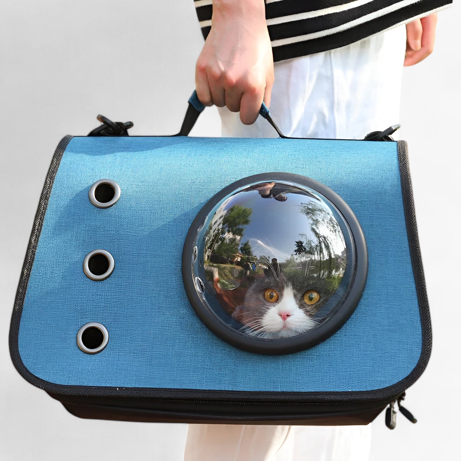 Borsa per gatti trasparente e traspirante per viaggi Lino Uomo - - borsa borsa gatti gatti lino pets & supplies trasparente traspirante uomo - Concept Palermo