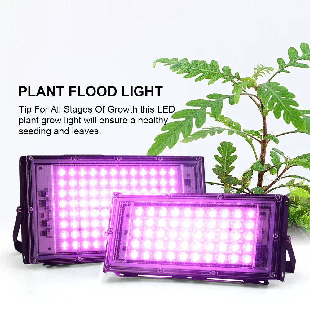 HydroGlow - Lampada da coltivazione LED a spettro completo con spina EU Nero - - coltivazione completo Decoration lighting grow lamp grow light home & garden hydroglow lampada led lamp lightning plant light spettro spina - Concept Palermo