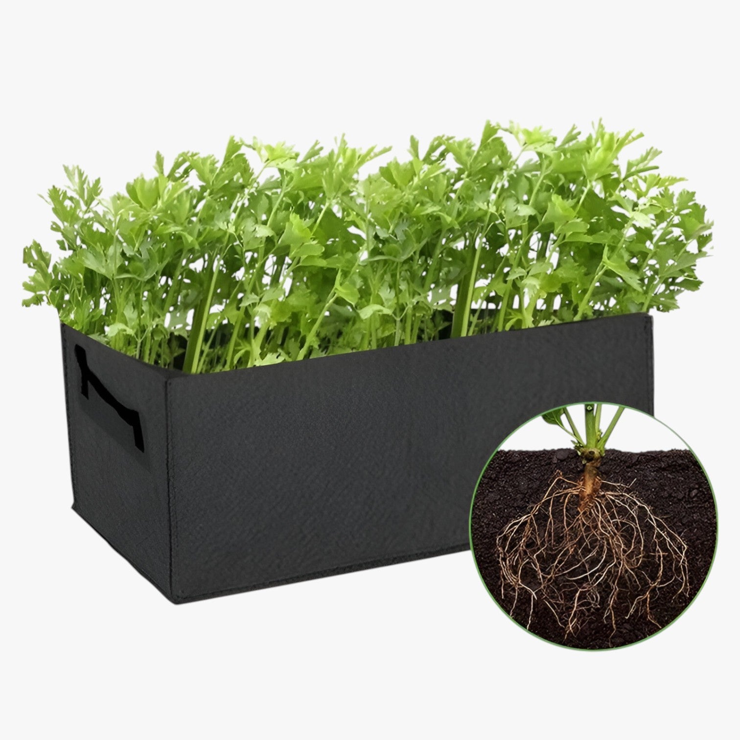 Sacchetto per la Crescita da Gallone – Spazio-risparmiatore, durevole e sana crescita delle piante - - crescita gallone Garden Garden supplies Home & Garden piante risparmiatore sacchetto sacchetto crescita sana - Concept Palermo