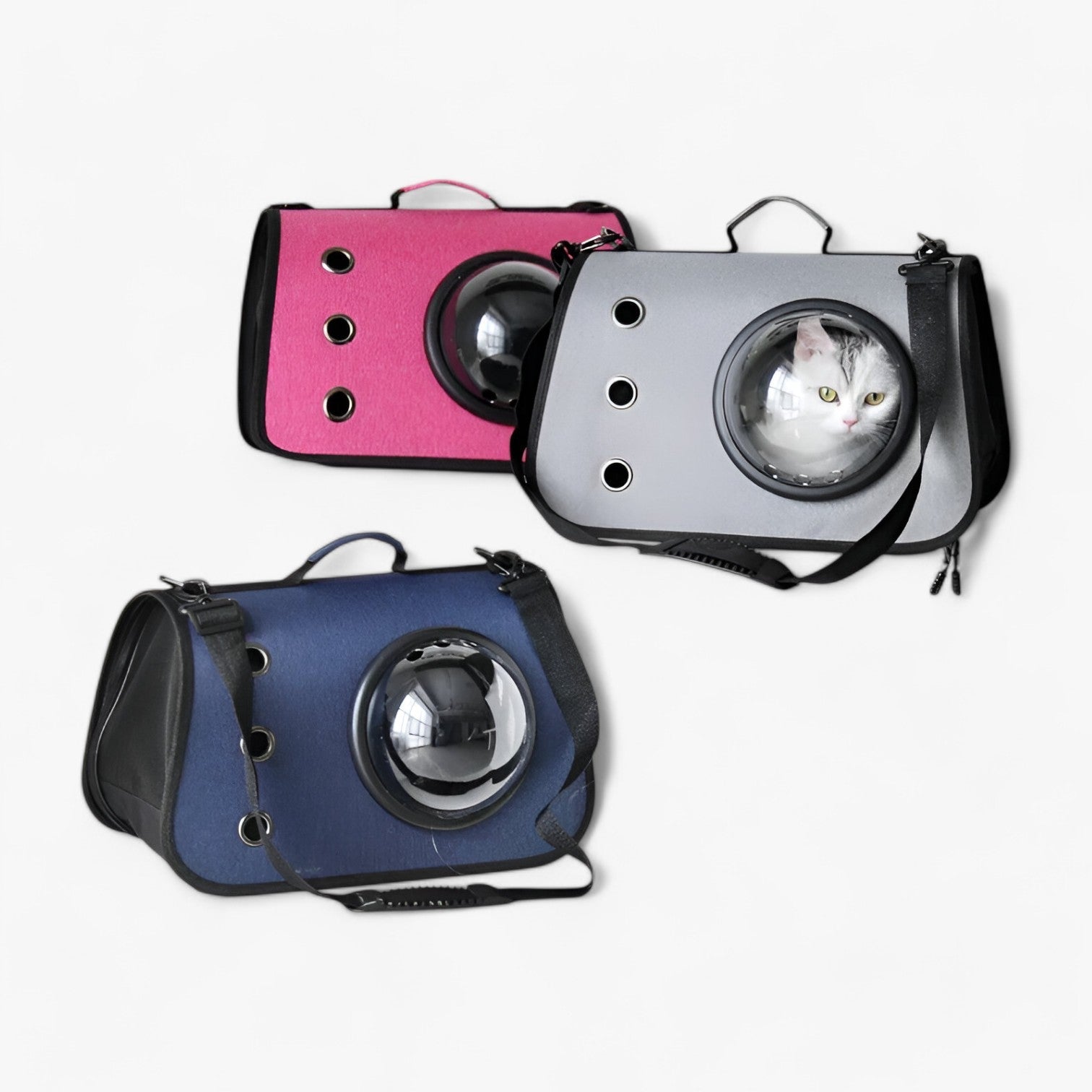 Borsa per gatti trasparente e traspirante per viaggi Lino Uomo - - borsa borsa gatti gatti lino pets & supplies trasparente traspirante uomo - Concept Palermo