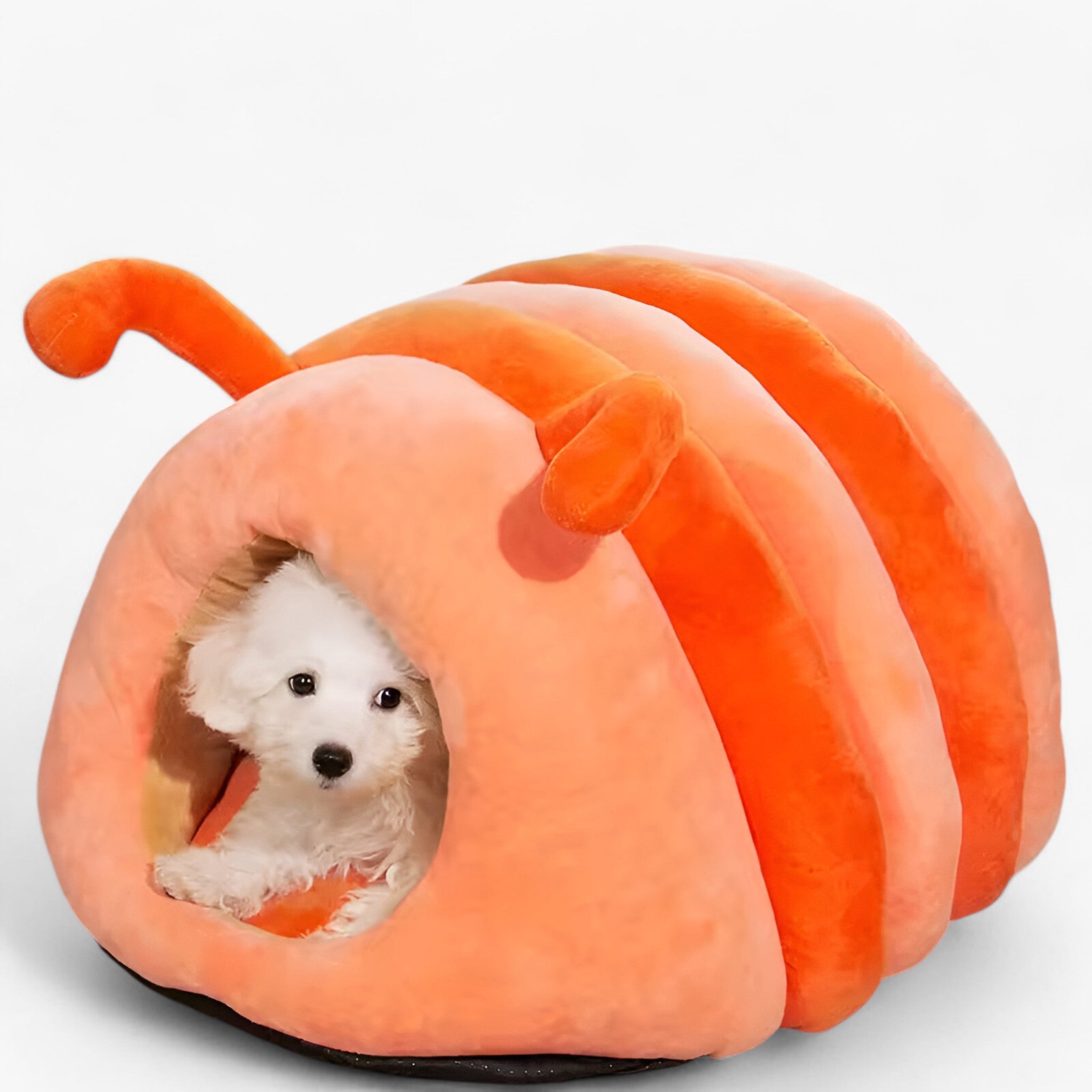 Letto per Animali Caldo e Accogliente in Pile con Tenda Invernale Uomo - - accogliente animali caldo invernale letto letto animali pets & supplies pile - Concept Palermo