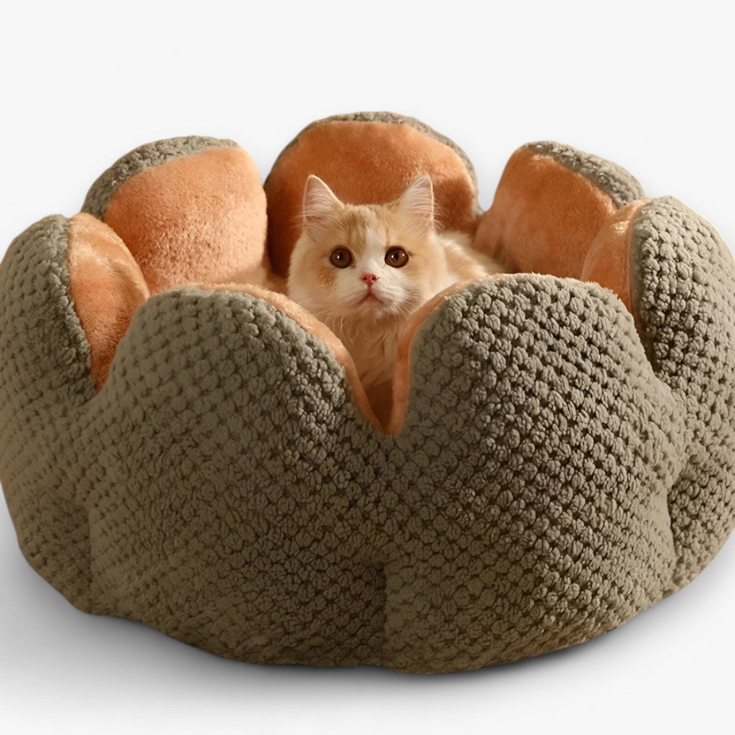 Cuccia Rotonda Morbida in Peluche Lavabile per Gatti e Cuccioli, Letto Caldo e Confortevole - grigio - accogliente caldo caldo accogliente cuccioli gatti pet pet bed PET SUPPLIES pets & supplies uomo - Concept Palermo