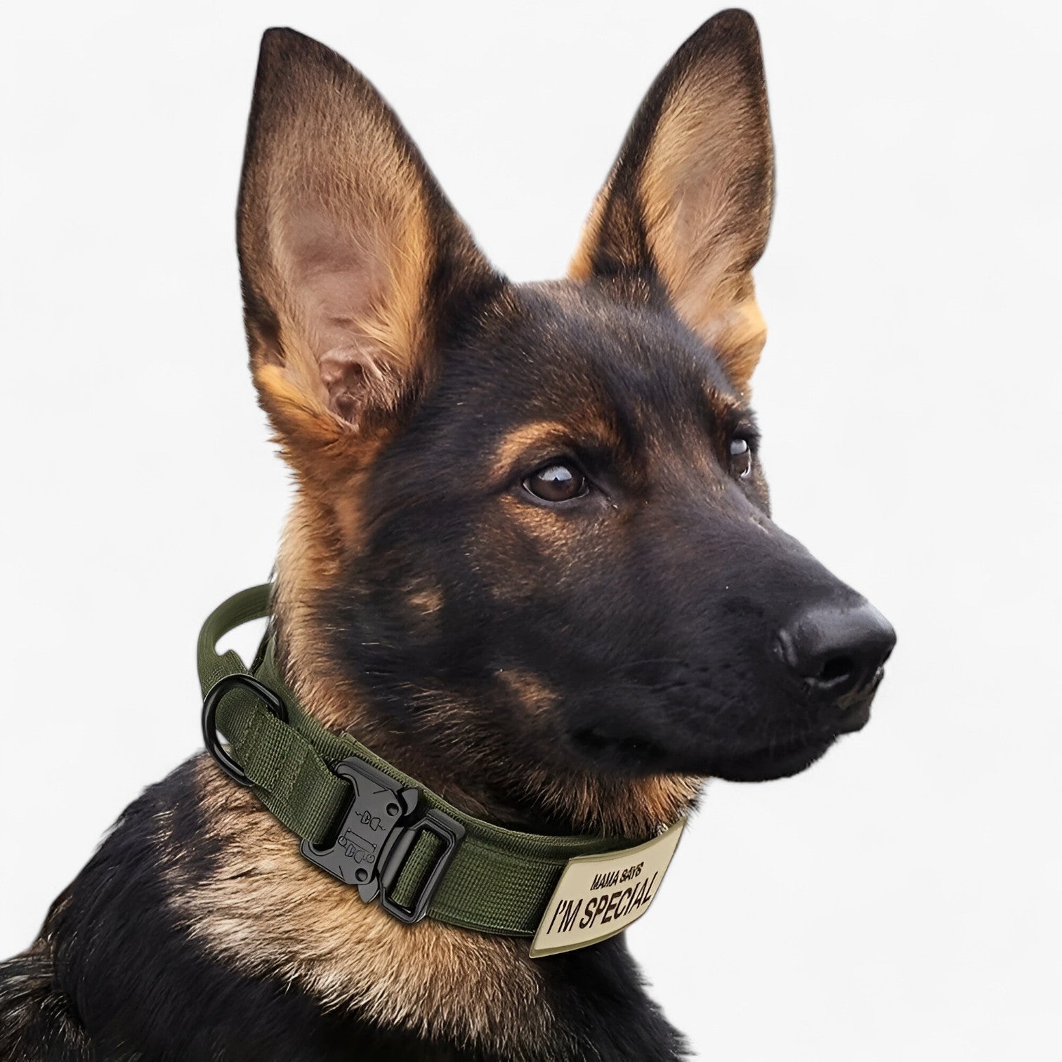 Collare tattico per cani con manico per addestramento Uomo - - addestramento cani collare collare tattico Dog Collar DOG SUPPLIES manico pets & supplies tattico uomo - Concept Palermo