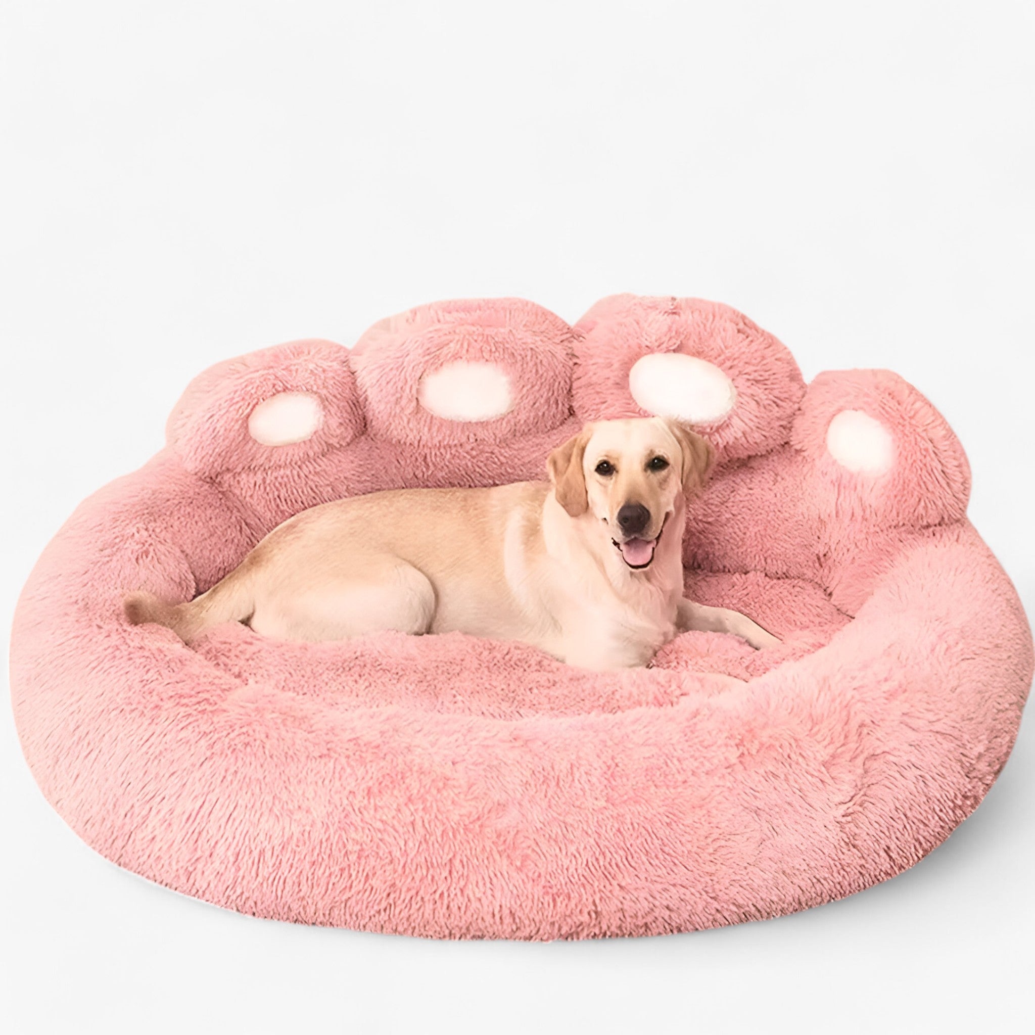 Letto per Cani Peloso e Confortevole - - cani confortevole letto letto cani peloso pets & supplies - Concept Palermo