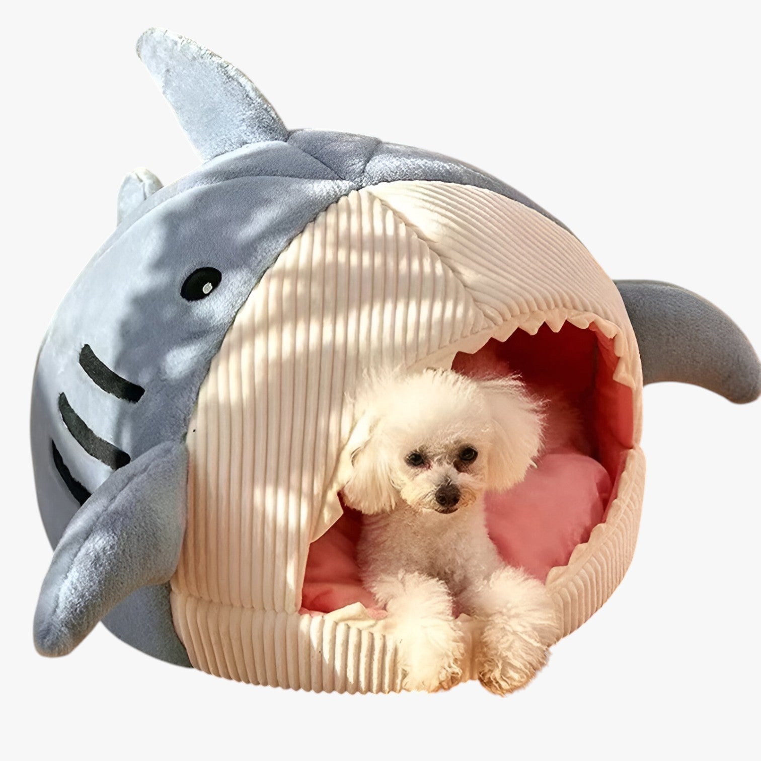 Cuccia per gatti calda e accogliente - - accogliente calda cuccia cuccia gatti gatti pet pet bed PET SUPPLIES pet's bed petproduct Pets pets & supplies - Concept Palermo