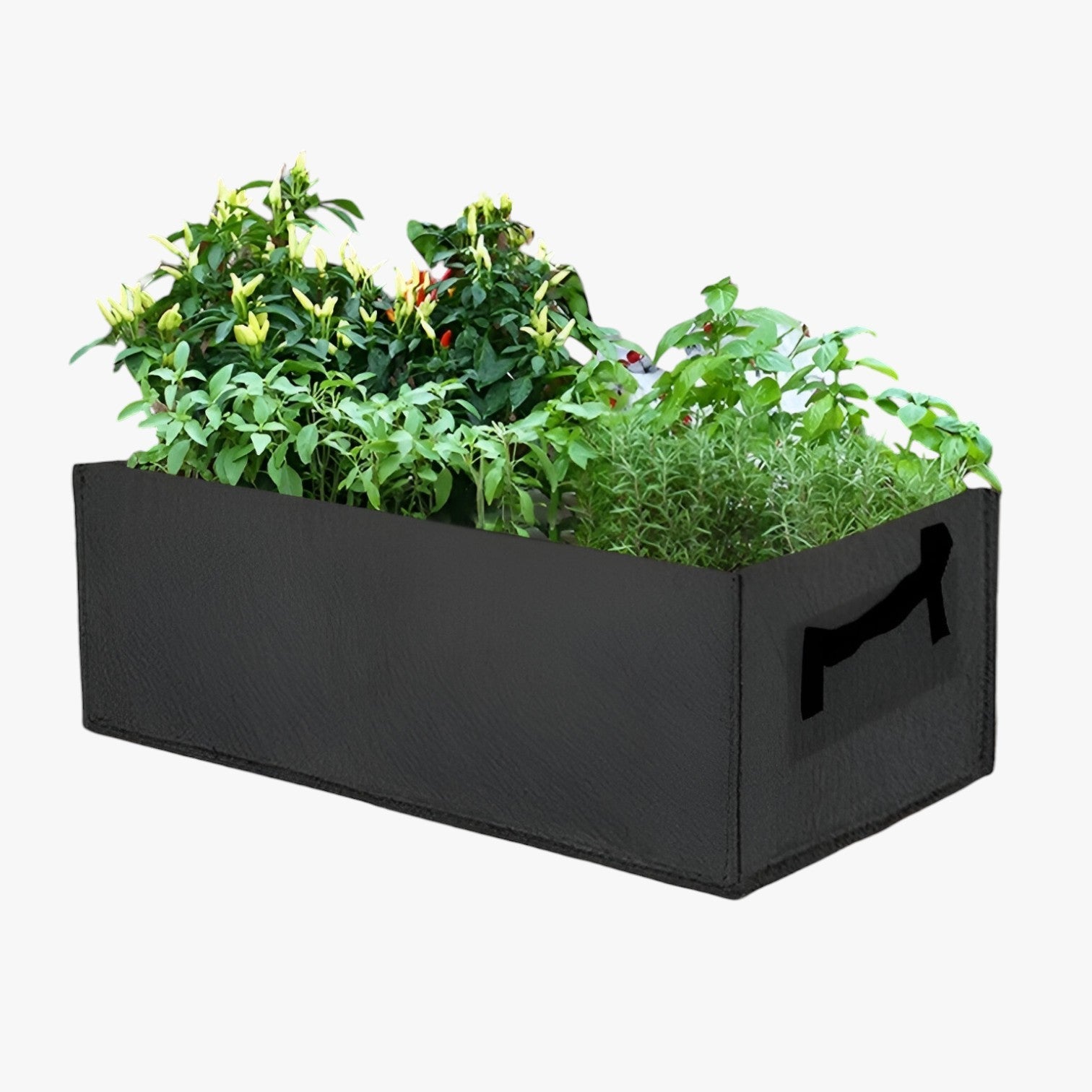 Sacchetto per la Crescita da Gallone – Spazio-risparmiatore, durevole e sana crescita delle piante - - crescita gallone Garden Garden supplies Home & Garden piante risparmiatore sacchetto sacchetto crescita sana - Concept Palermo