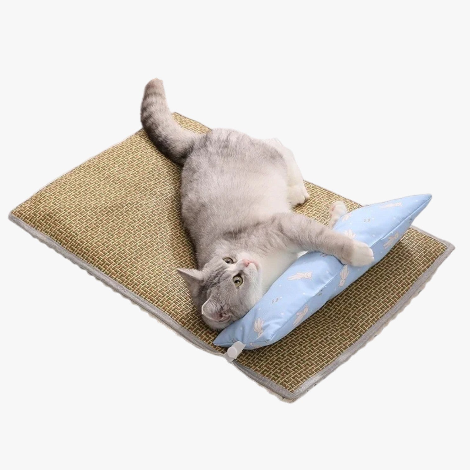 Coperta Estiva Rinfrescante per Gatti e Cani Uomo - - cani coperta coperta estiva estiva gatti pet pet bed pet beds pet's bed petproduct pets & supplies rinfrescante uomo - Concept Palermo