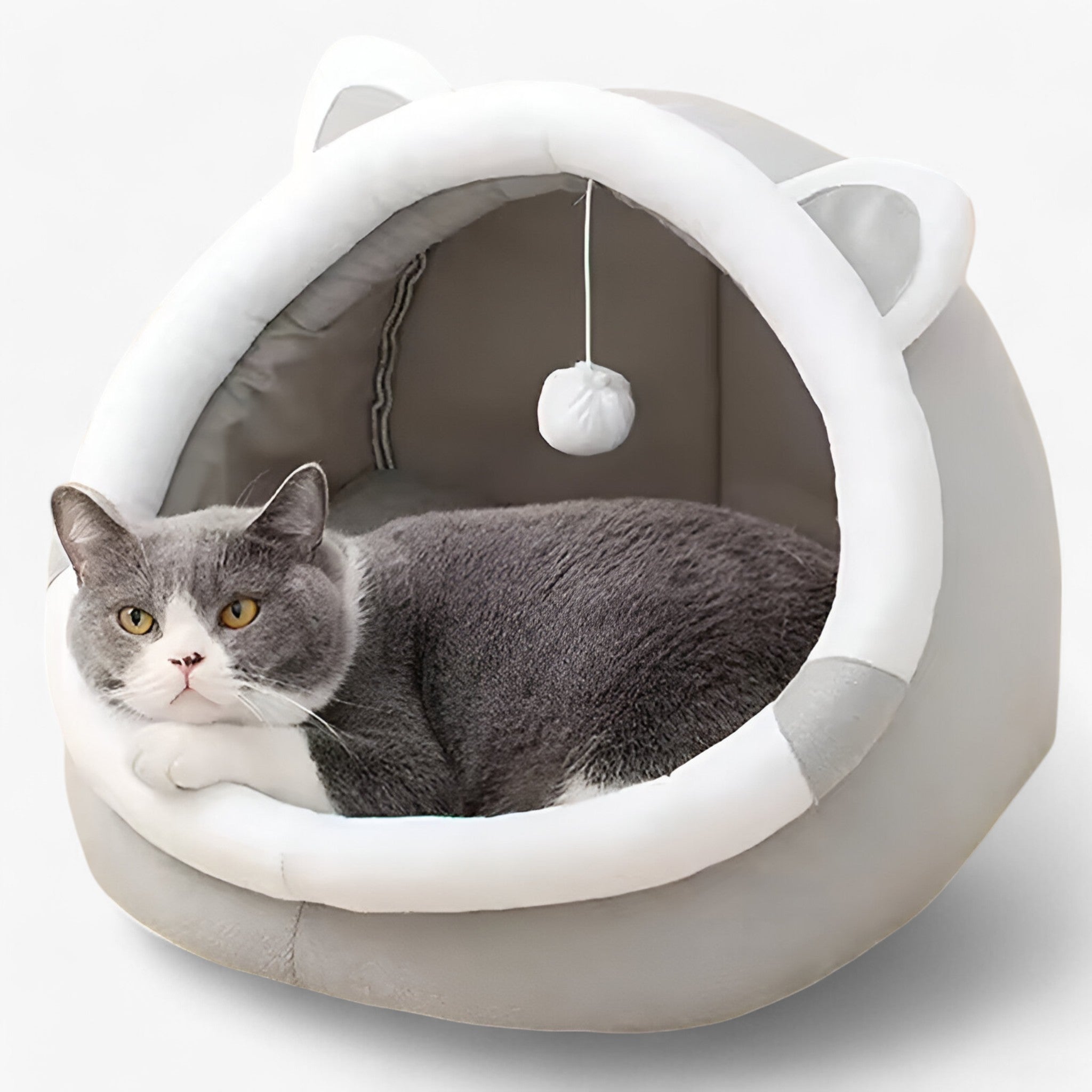 Letto per Gatti Knus e Caldo – Comfort per Tutte le Stagioni Uomo - - caldo comfort gatti knus letto letto gatti pets & supplies stagioni - Concept Palermo