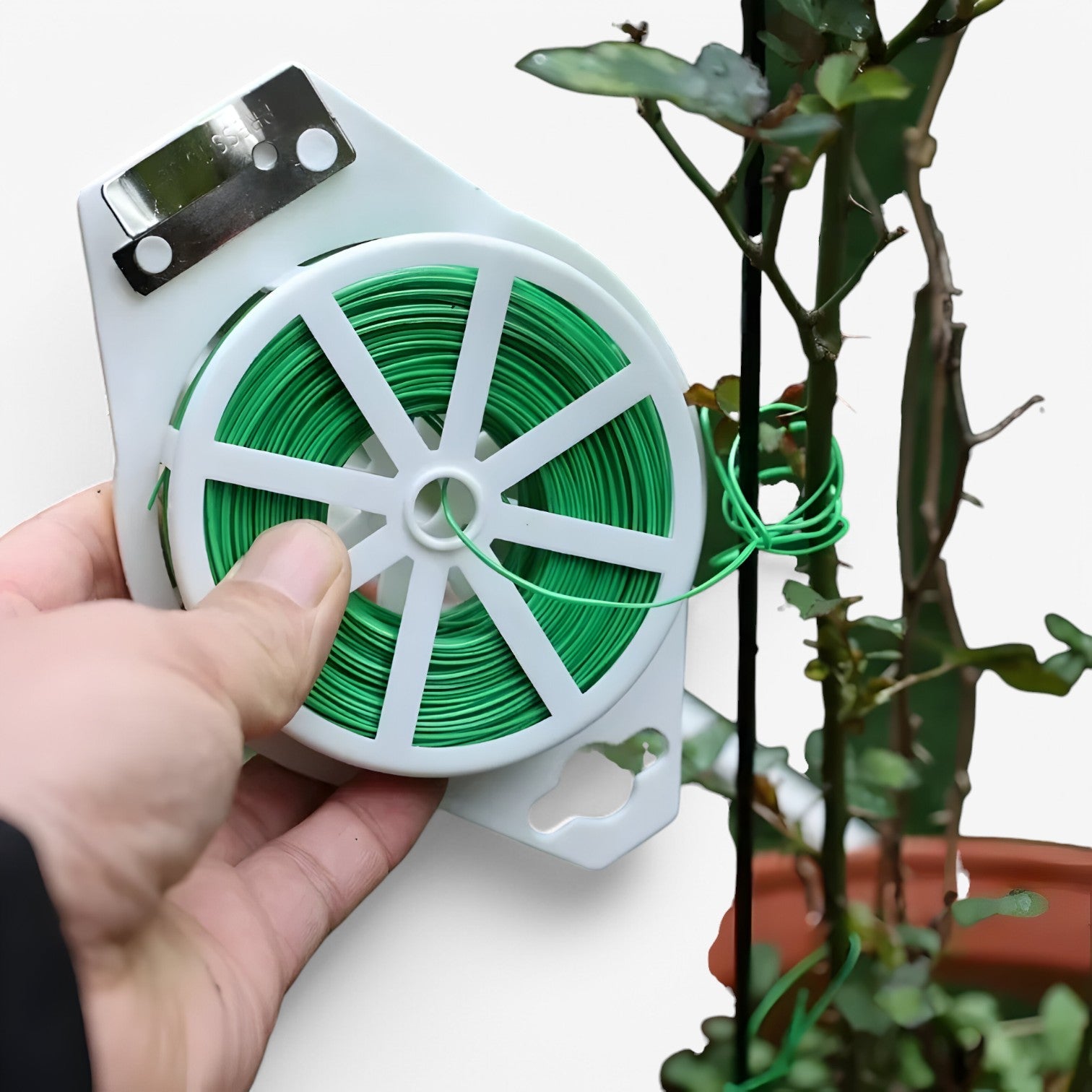 Pianta da Giardino con Filo e Strumento da Taglio per Sostegno Uomo - - filo Garden Garden accessories giardino Home & Garden pianta pianta giardino sostegno strumento taglio - Concept Palermo