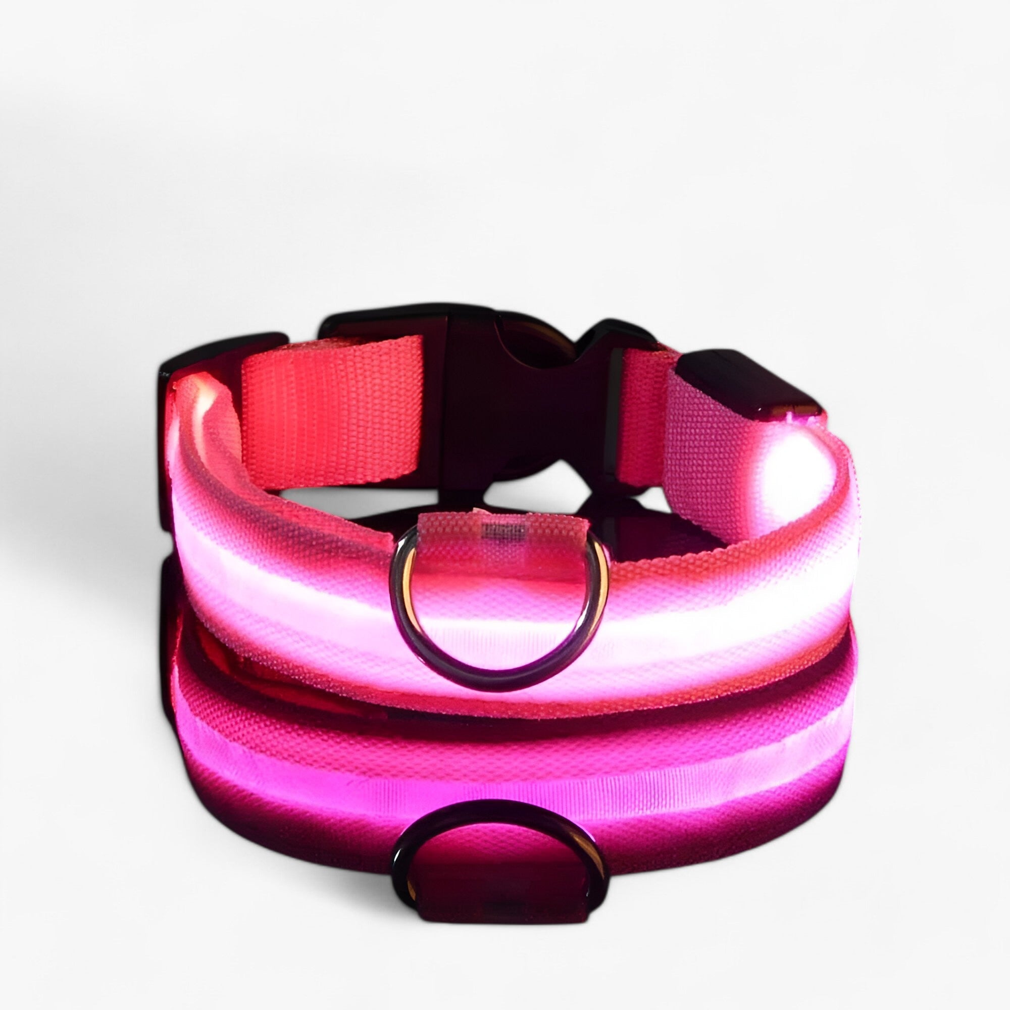 Collare LED per Cani Sicuro - Visibile al Buio - Rosa - buio cani collare collare cani Dog Collar DOG SUPPLIES Pet supplies pets & supplies sicuro visibile - Concept Palermo