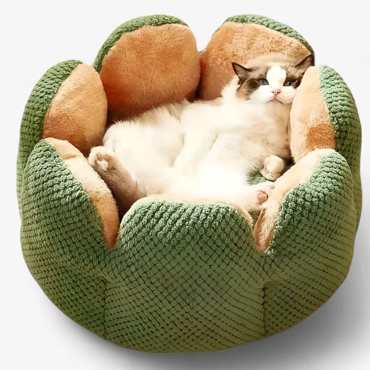 Cuccia Rotonda Morbida in Peluche Lavabile per Gatti e Cuccioli, Letto Caldo e Confortevole - - accogliente caldo caldo accogliente cuccioli gatti pet pet bed PET SUPPLIES pets & supplies uomo - Concept Palermo