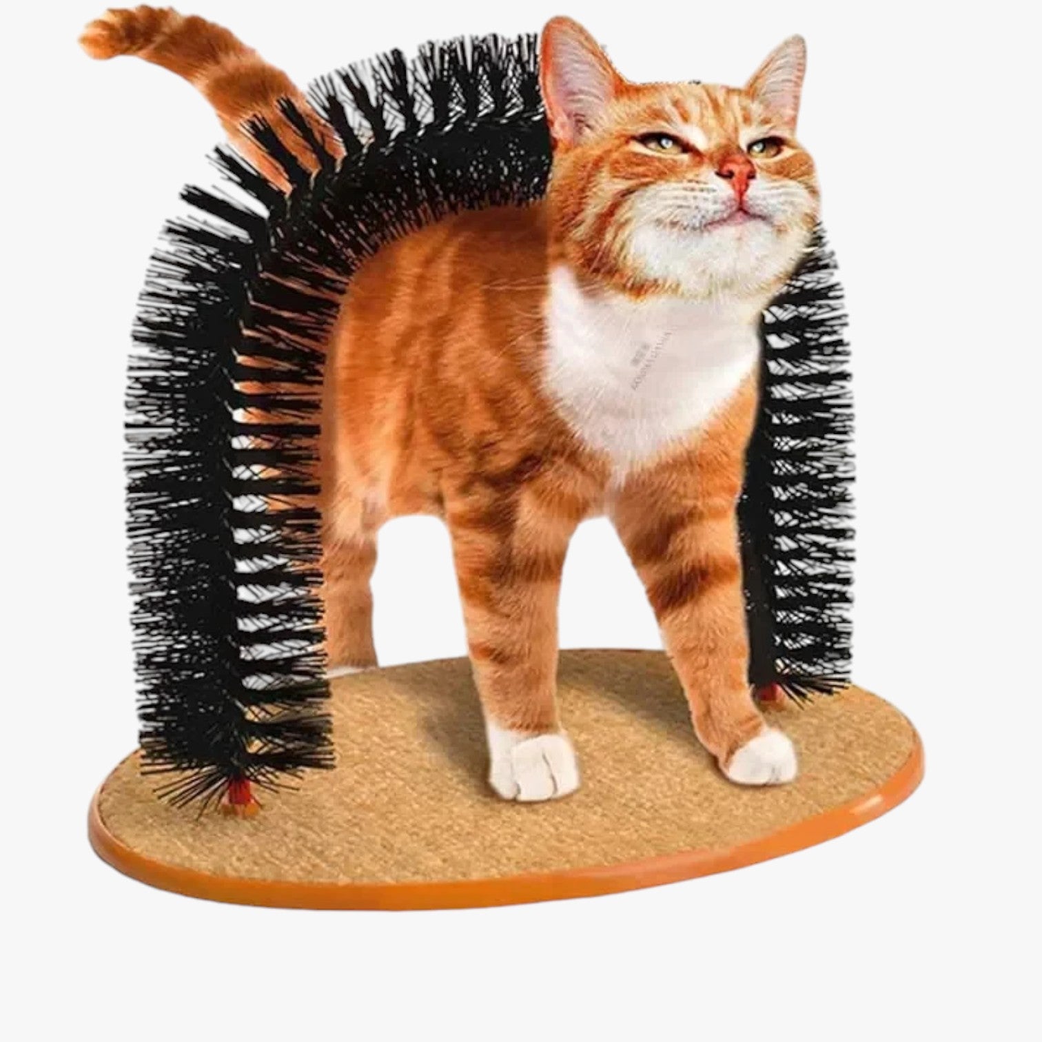 Cura, grattare e giocare in uno Uomo - - cura cura grattare giocare grattare pet pet accessories PET SUPPLIES pets & supplies uomo - Concept Palermo