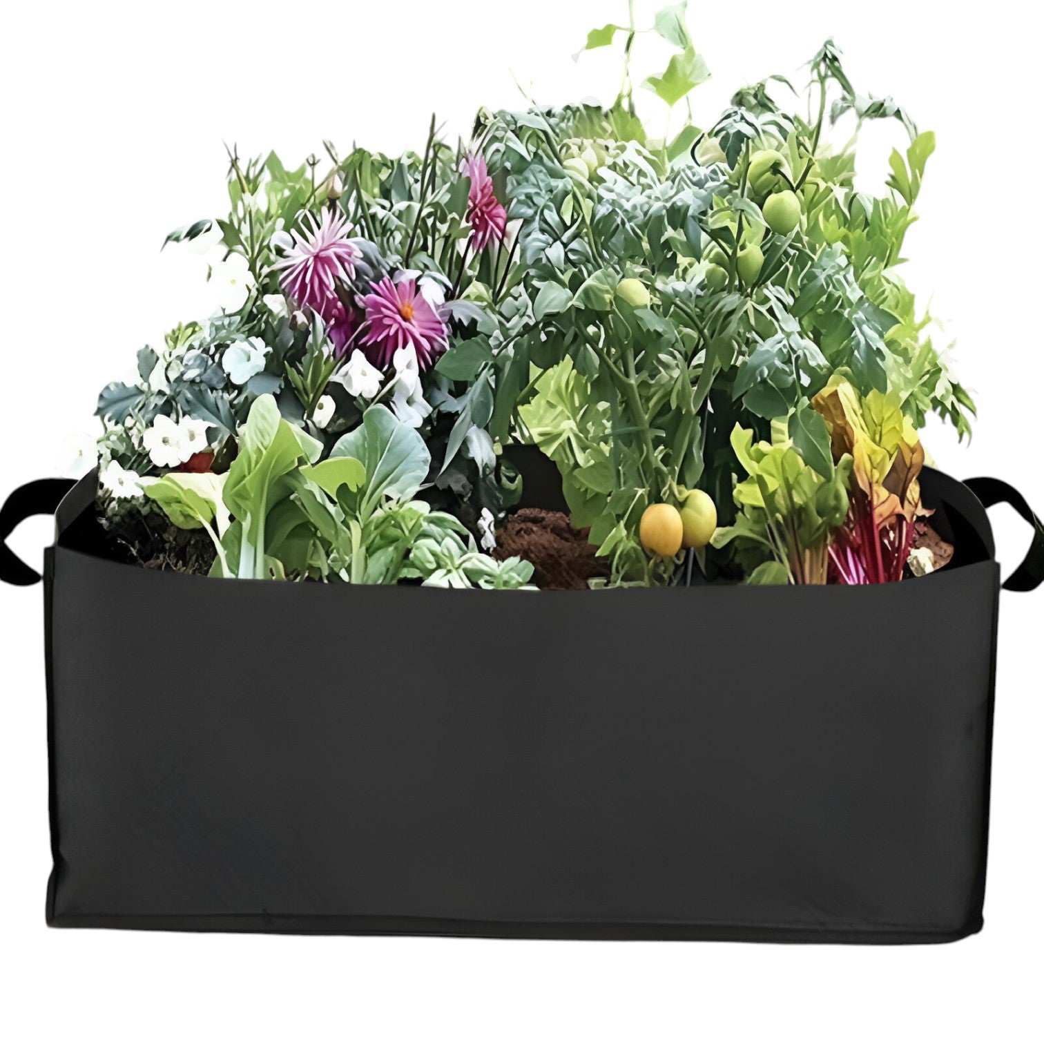 Sacchetto per la Crescita da Gallone – Spazio-risparmiatore, durevole e sana crescita delle piante - - crescita gallone Garden Garden supplies Home & Garden piante risparmiatore sacchetto sacchetto crescita sana - Concept Palermo