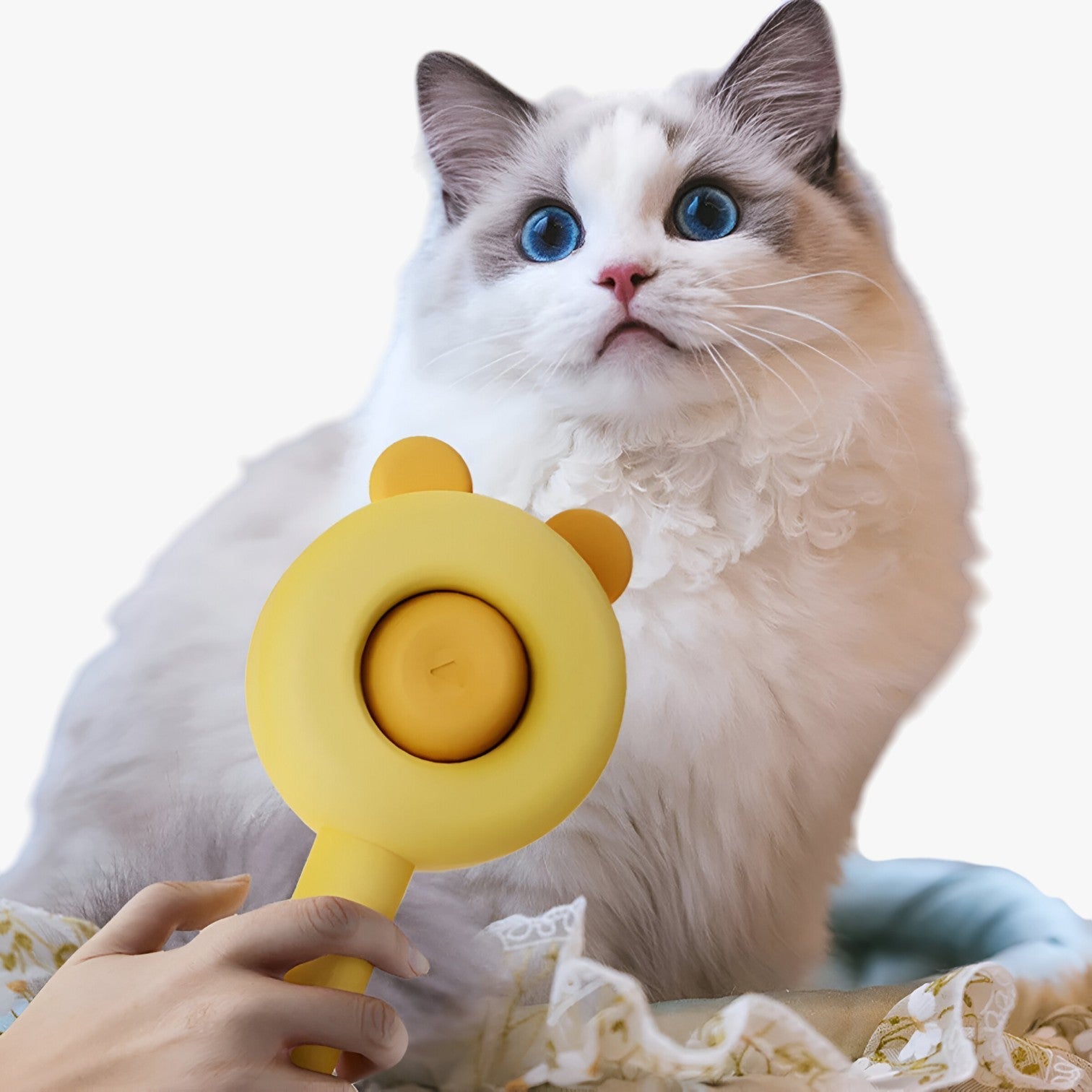 Spazzola efficiente per peli di animali domestici – rimuove i peli in modo rapido e facile Uomo - - animali domestici efficiente facile modo peli pet pet accessories PET SUPPLIES pets & supplies rapido - Concept Palermo