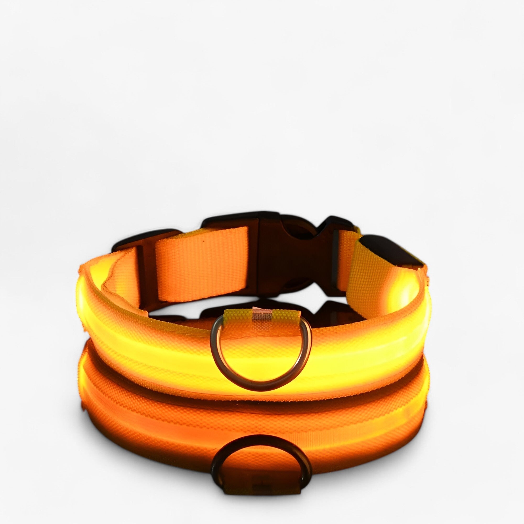 Collare LED per Cani Sicuro - Visibile al Buio - Giallo - buio cani collare collare cani Dog Collar DOG SUPPLIES Pet supplies pets & supplies sicuro visibile - Concept Palermo