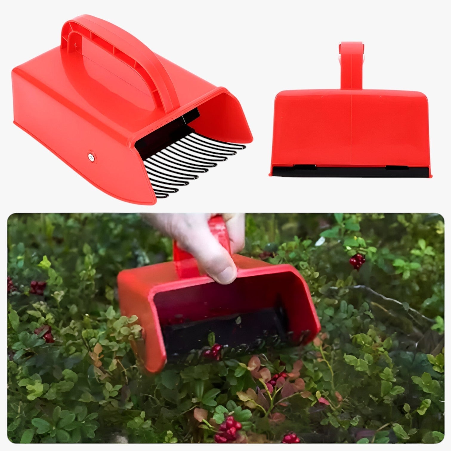 Raccoglitore di bacche ergonomico – Raccogliere in modo veloce e senza sforzo Uomo - - bacche ergonomico Garden Garden accessories Garden supplies Home & Garden modo raccogliere raccoglitore raccoglitore bacche sforzo - Concept Palermo