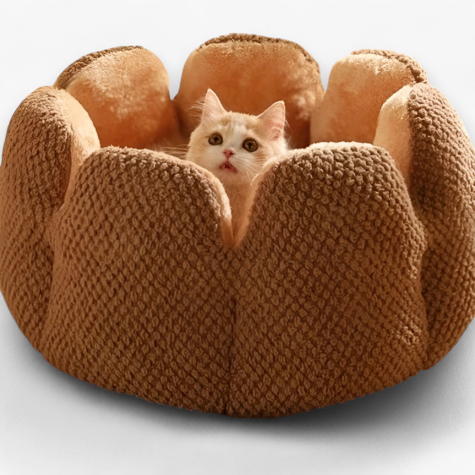 Cuccia Rotonda Morbida in Peluche Lavabile per Gatti e Cuccioli, Letto Caldo e Confortevole - colore caffè - accogliente caldo caldo accogliente cuccioli gatti pet pet bed PET SUPPLIES pets & supplies uomo - Concept Palermo