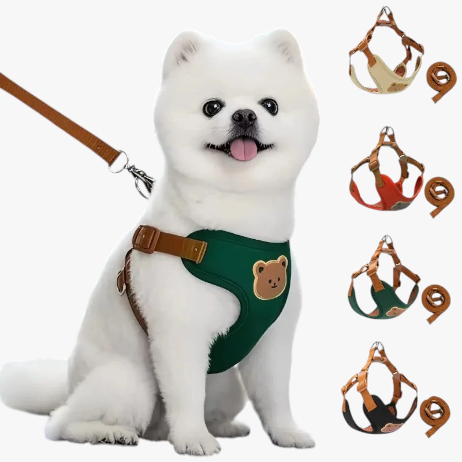 Pettorina Traspirante con Guinzaglio per Piccoli Animali - - animali guinzaglio pet petproduct Pets pets & supplies pettorina pettorina traspirante piccoli traspirante - Concept Palermo
