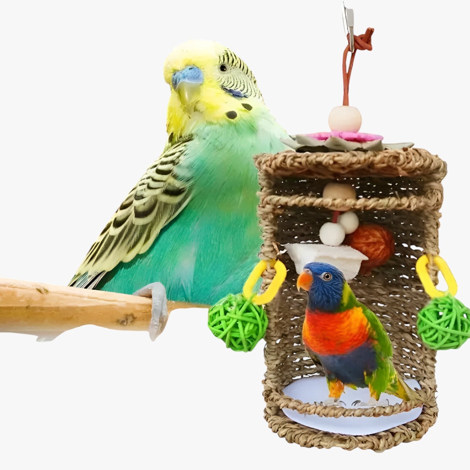 Accogliente rifugio per uccelli – Spazio nido e gioco confortevole - - accogliente accogliente rifugio bird bird house birdproduct confortevole gioco nido pets & supplies rifugio spazio - Concept Palermo