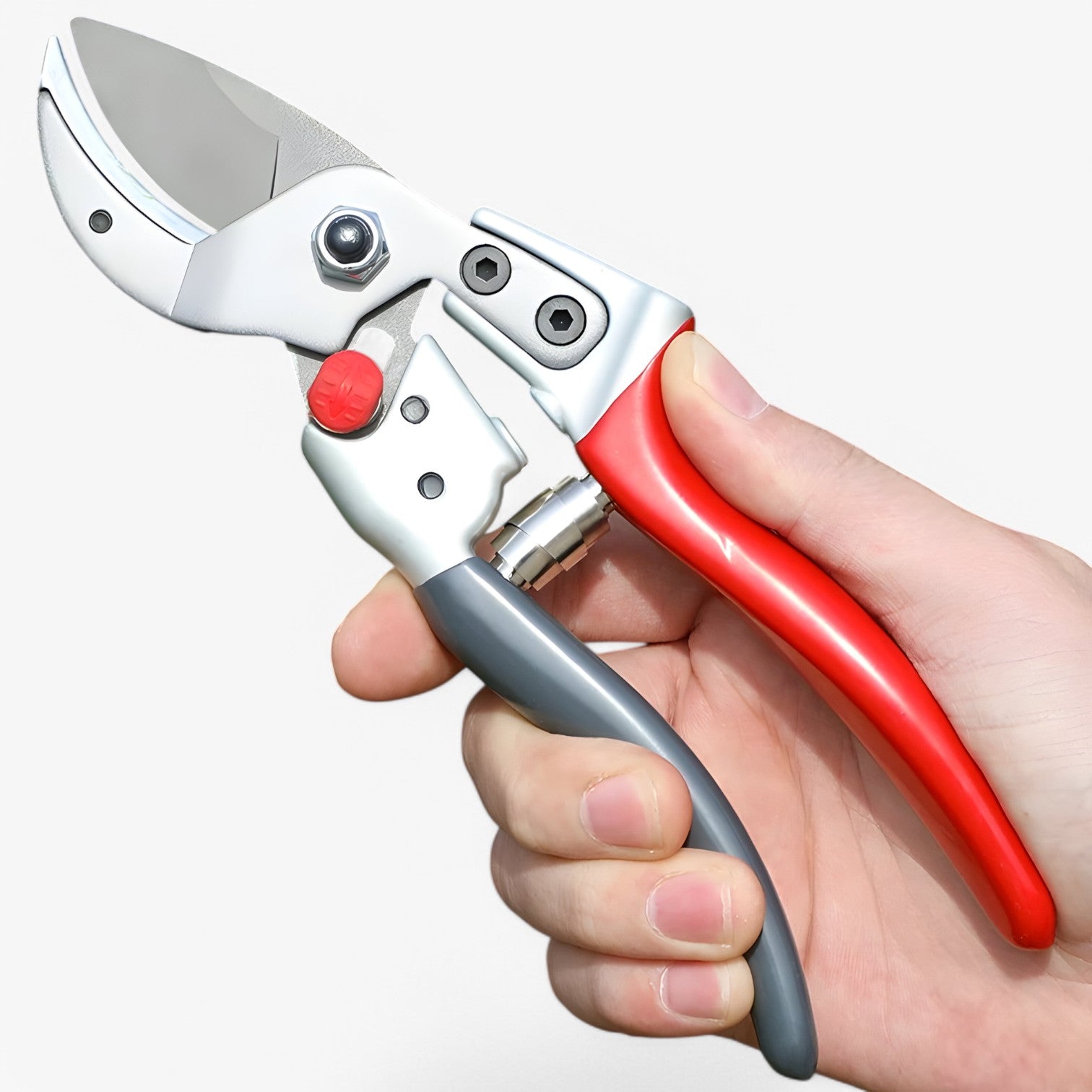 Forbice Professionale per Potatura per un Taglio Facile Uomo - - facile forbice forbice professionale Garden Garden supplies garden tools Home & Garden potatura professionale taglio uomo - Concept Palermo
