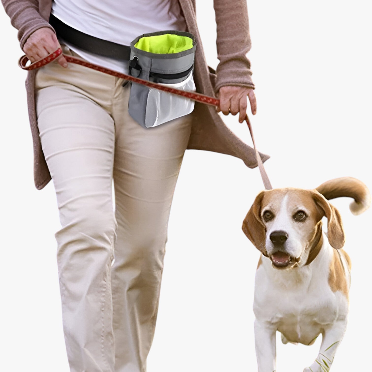 Borsa multifunzionale per cani per passeggiate e addestramento - - addestramento borsa borsa multifunzionale cani multifunzionale passeggiate pet pet accessories PET SUPPLIES petproduct pets & supplies - Concept Palermo