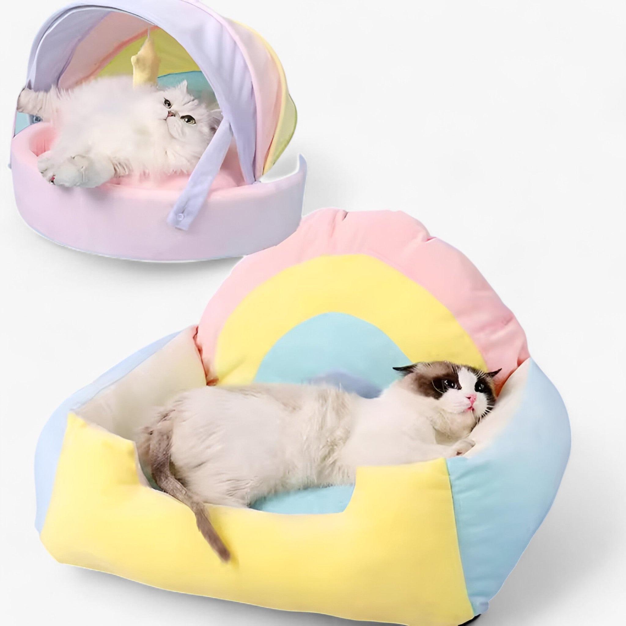 Casa per Gatti Rainbow - Comfort e Calore per il Tuo Animale Domestico - - animale calore casa casa gatti comfort domestico gatti pets & supplies - Concept Palermo