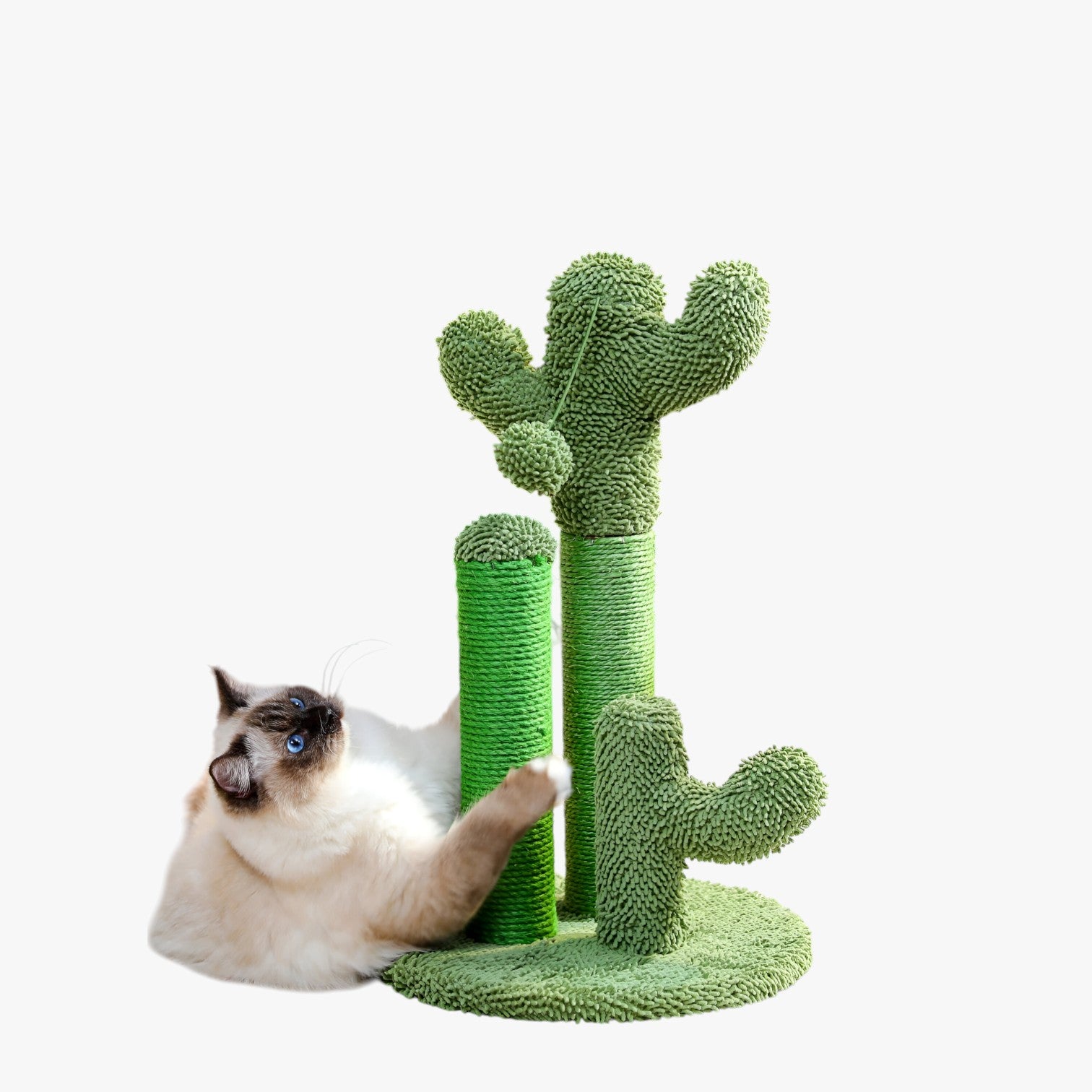 Cactus Scratch Fun Graffiatoio Interattivo a 3 Pali con Pallina Pendente - - cactus cactus scratch graffiatoio interattivo mitzy | cactus scratch fun graffiatoio interattivo a 3 pali con pallina pendente - €25 pali pallina pendente pet PET SUPPLIES petproduct Pets - Concept Palermo