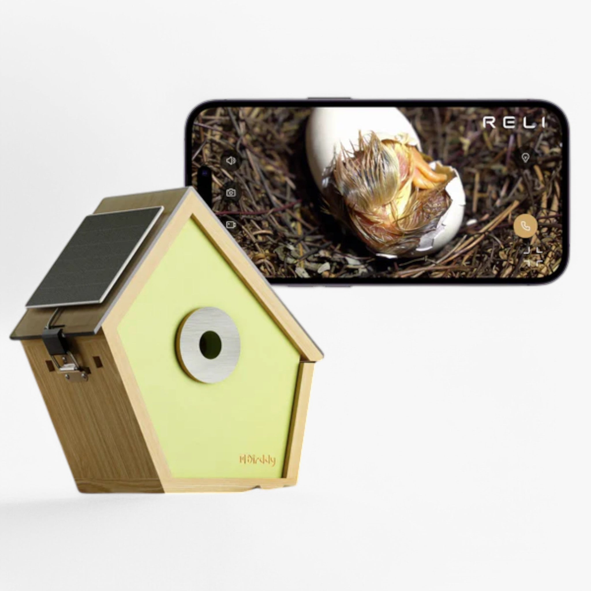 Casetta per Uccelli Slim con Tecnologia Avanzata Uomo - - avanzata bird house birdproduct casetta casetta uccelli pets & supplies slim tecnologia uccelli uomo - Concept Palermo