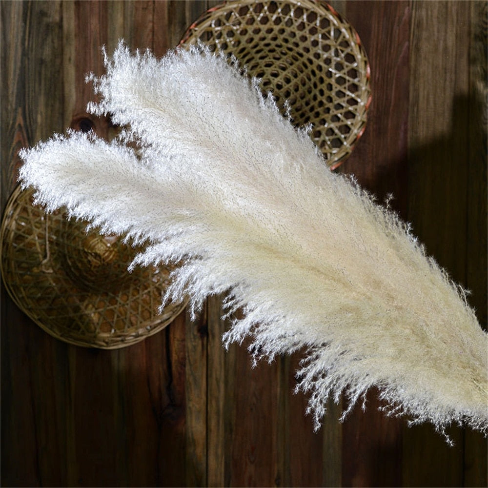 FeatherFawn - Fiori di Pampa Essiccati Naturali Beige 60cm per Decorazioni Casa e Matrimoni - - Decor essiccati featherfawn fiori home home & garden home decor pampa - Concept Palermo