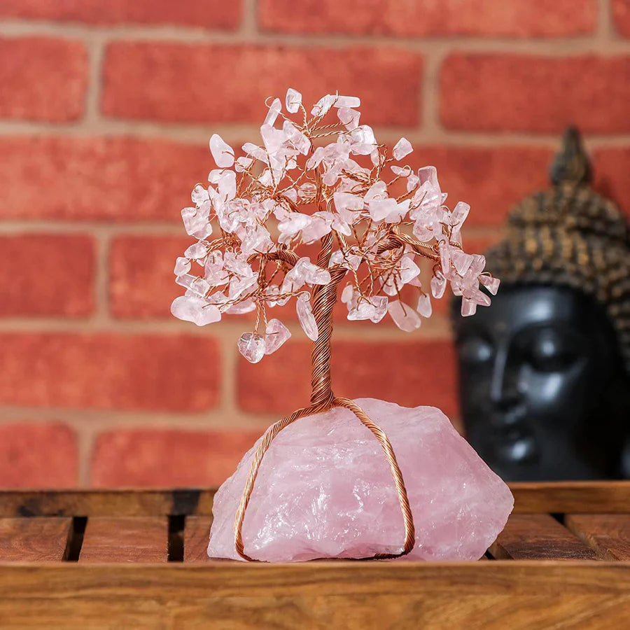 Decorazioni Bonsai Feng Shui Uomo - - bonsai bonsai decoration Decoration decorazioni decorazioni bonsai feng feng shui home & garden shui uomo - Concept Palermo