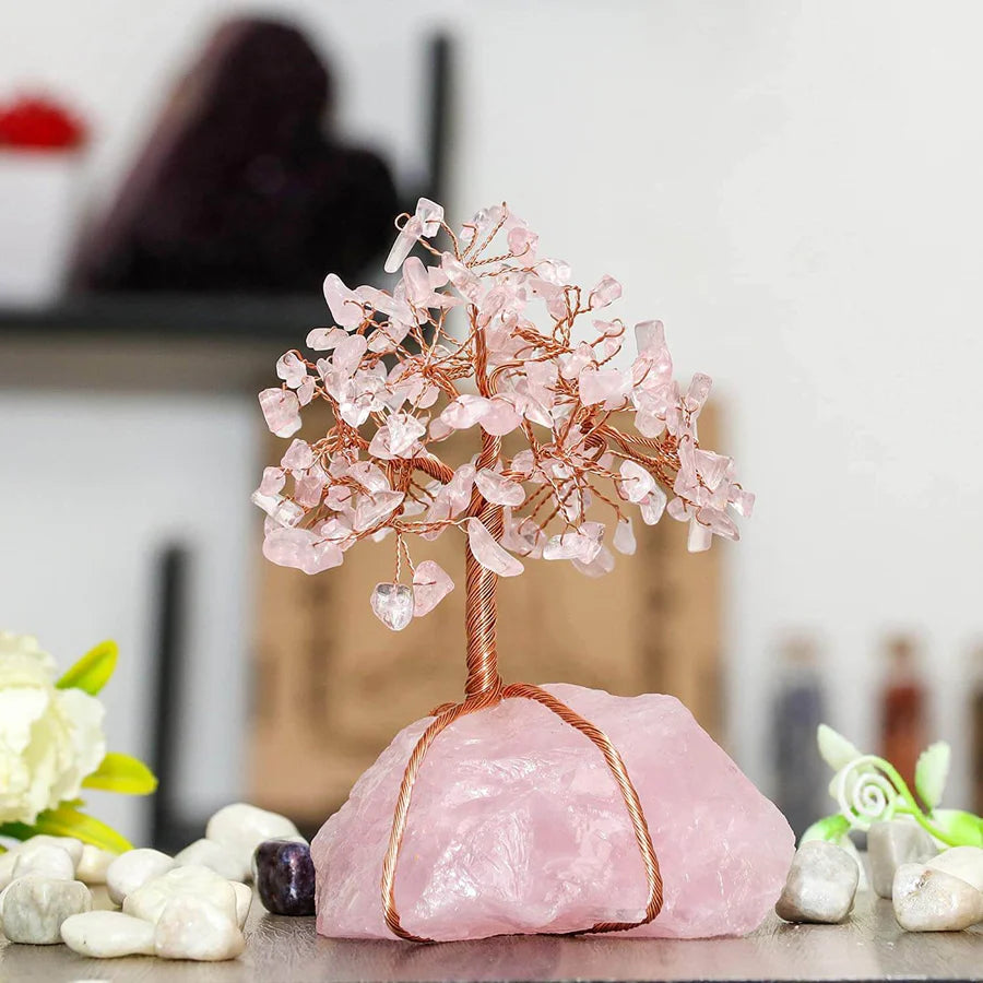 Decorazioni Bonsai Feng Shui Uomo - - bonsai bonsai decoration Decoration decorazioni decorazioni bonsai feng feng shui home & garden shui uomo - Concept Palermo