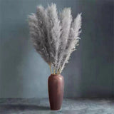 Gedroogde natuurlijke Pampasgras FeatherFawn beige 60cm voor huisdecoratie, bruiloften en evenementen