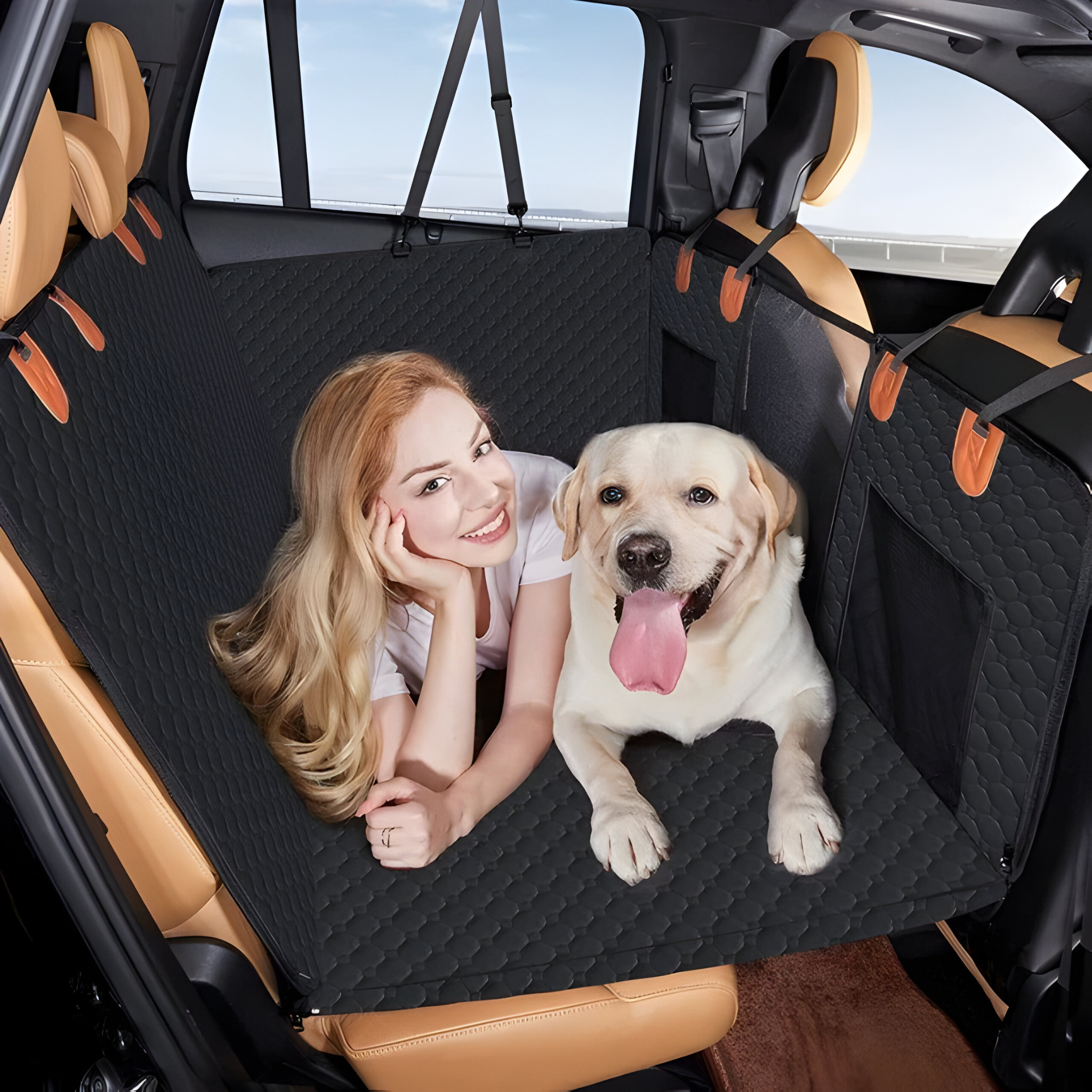 Sedile auto estensibile per cani - Comodo e sicuro per il tuo cane quando viaggi - - auto cane cani dogs estensibile pets & supplies quando sedile sedile auto - Concept Palermo