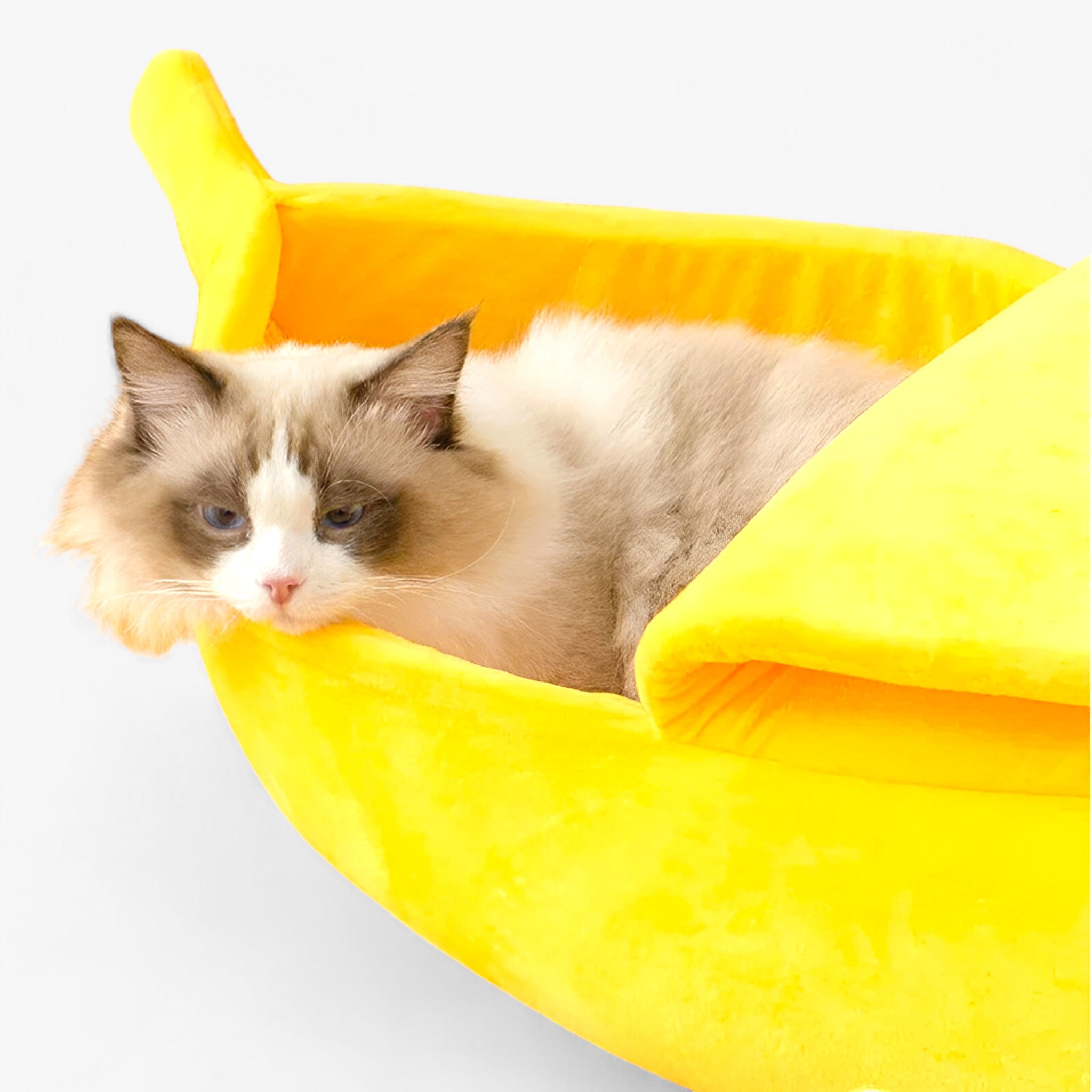 Letto per gatti a forma di banana - Riparo accogliente per il tuo amico peloso Lino - - accogliente amico banana cat bed dog bed forma gatti letto letto gatti lino pet bed WOMEN - Concept Palermo