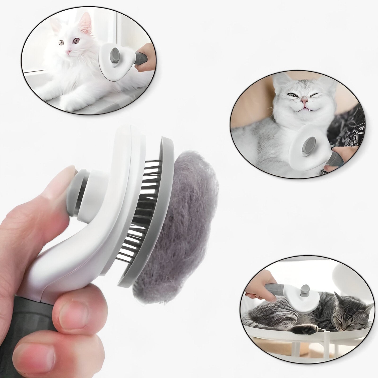 La spazzola per animali domestici autopulente per una rimozione facile dei peli e una pulizia comoda - - animali auto autopulente comoda domestici facile peli pets & supplies pulizia - Concept Palermo