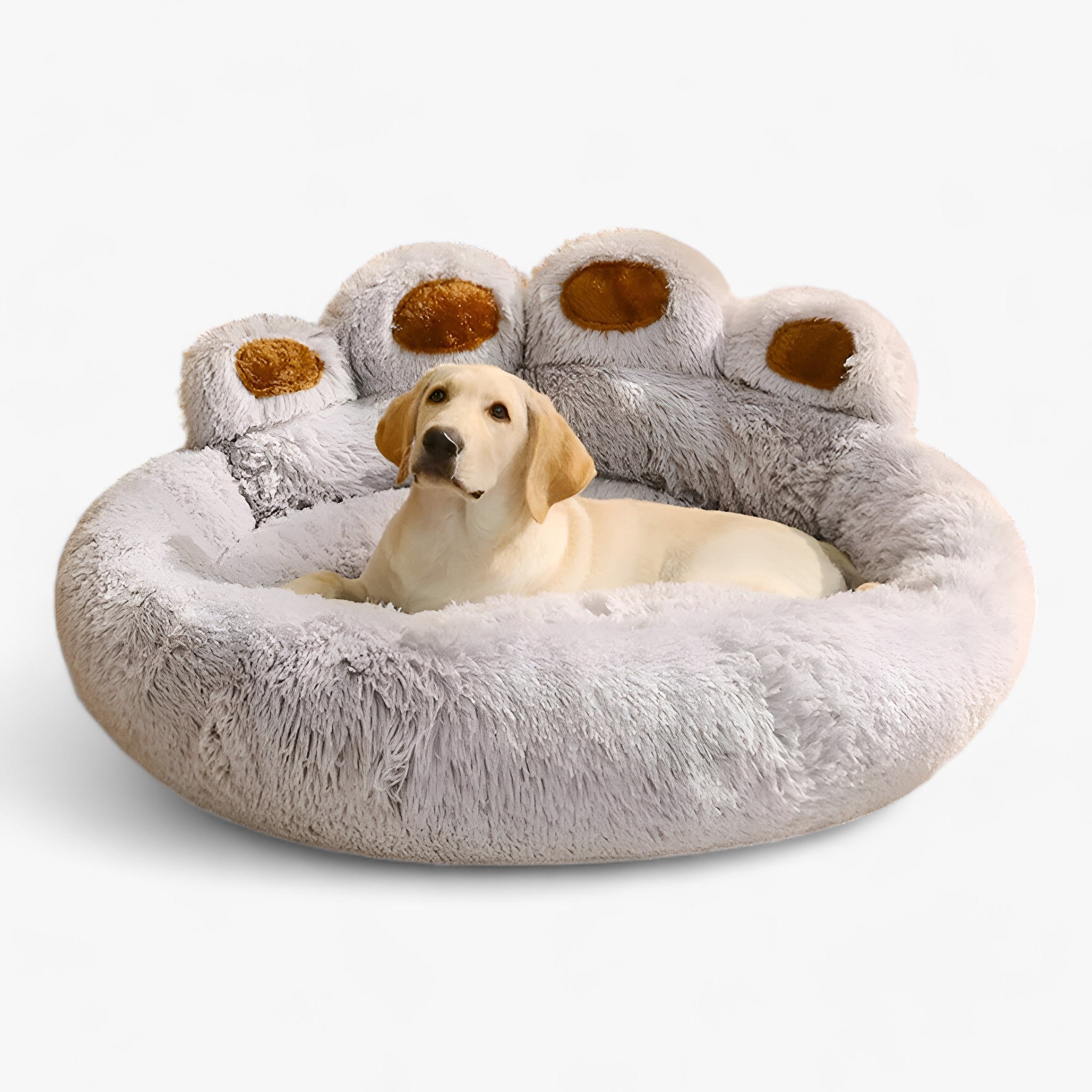 Poltrona Letto per Animali - Posto Ideale per Coccole per i Vostri Cuccioli e Gatti Uomo - - animali coccole cuccioli gatti letto pet pets & supplies poltrona poltrona letto - Concept Palermo
