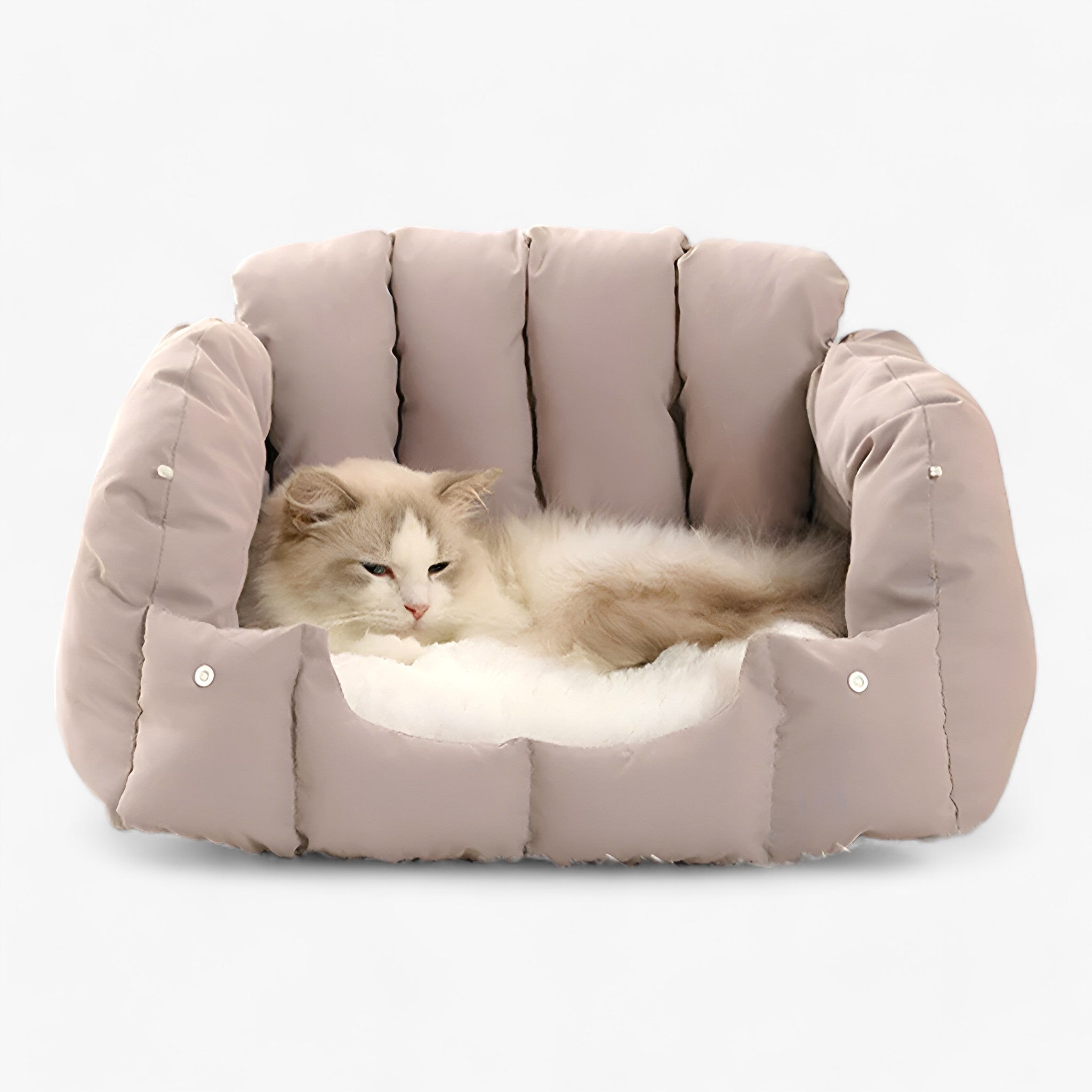 Letto per gatti a forma di arco di DOUILLET - Il rifugio per il massimo comfort dei vostri amici felini Uomo - - amici arco comfort douillet felini forma gatti letto pet - Concept Palermo