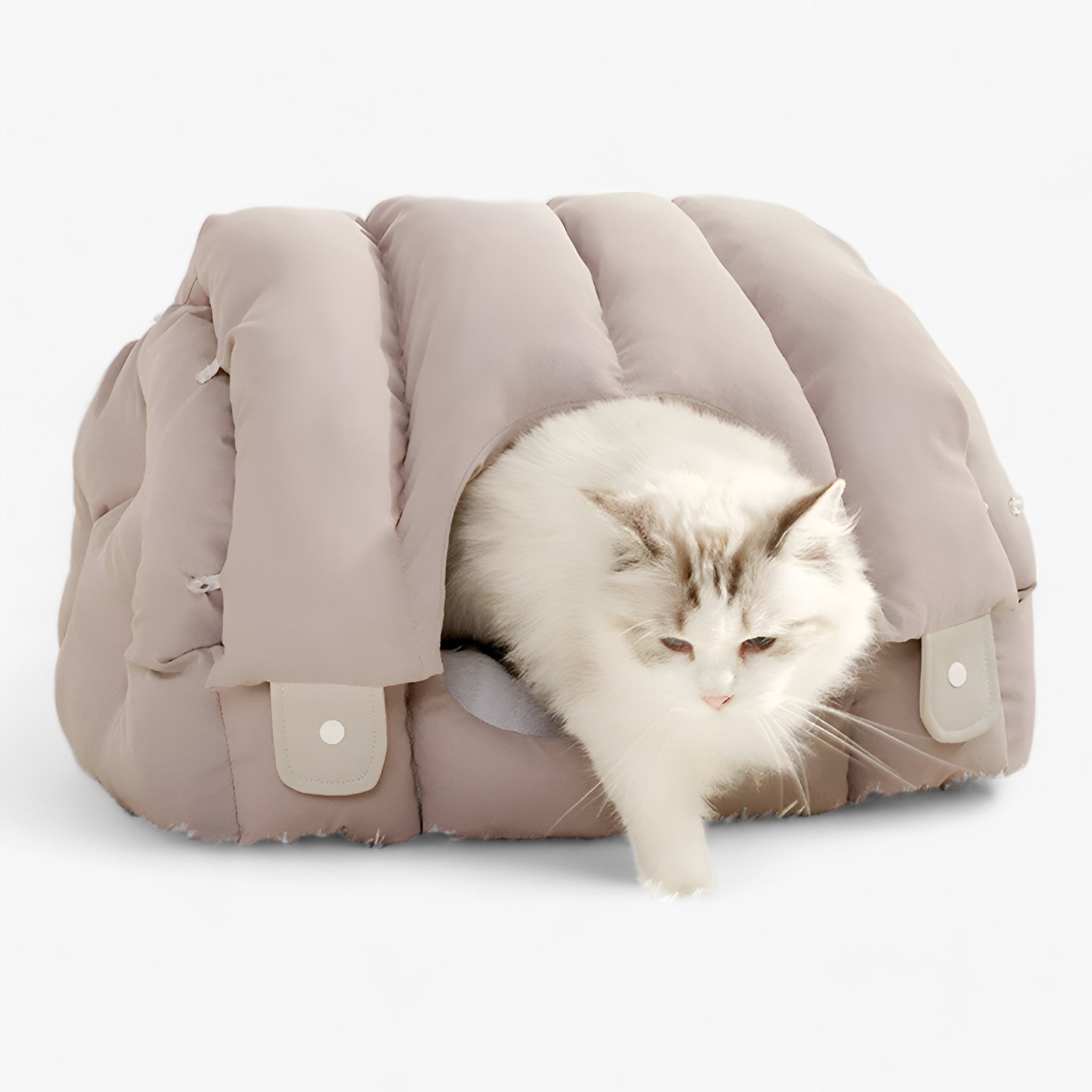 Letto per gatti a forma di arco di DOUILLET - Il rifugio per il massimo comfort dei vostri amici felini Uomo - - amici arco comfort douillet felini forma gatti letto pet - Concept Palermo