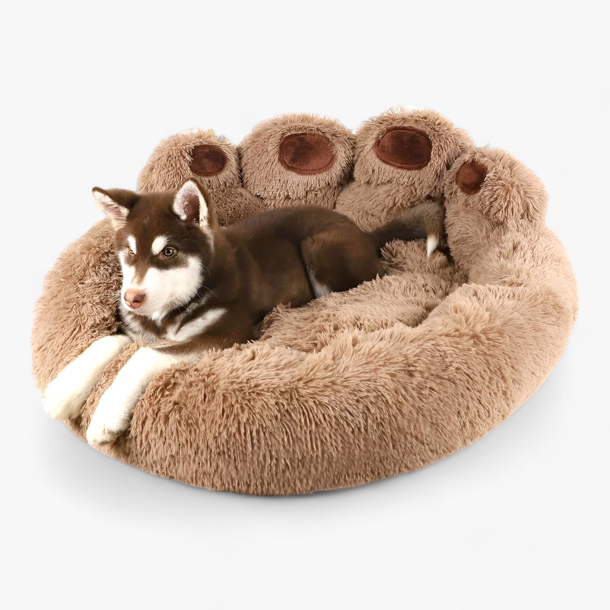 Poltrona Letto per Animali - Posto Ideale per Coccole per i Vostri Cuccioli e Gatti Uomo - - animali coccole cuccioli gatti letto pet pets & supplies poltrona poltrona letto - Concept Palermo